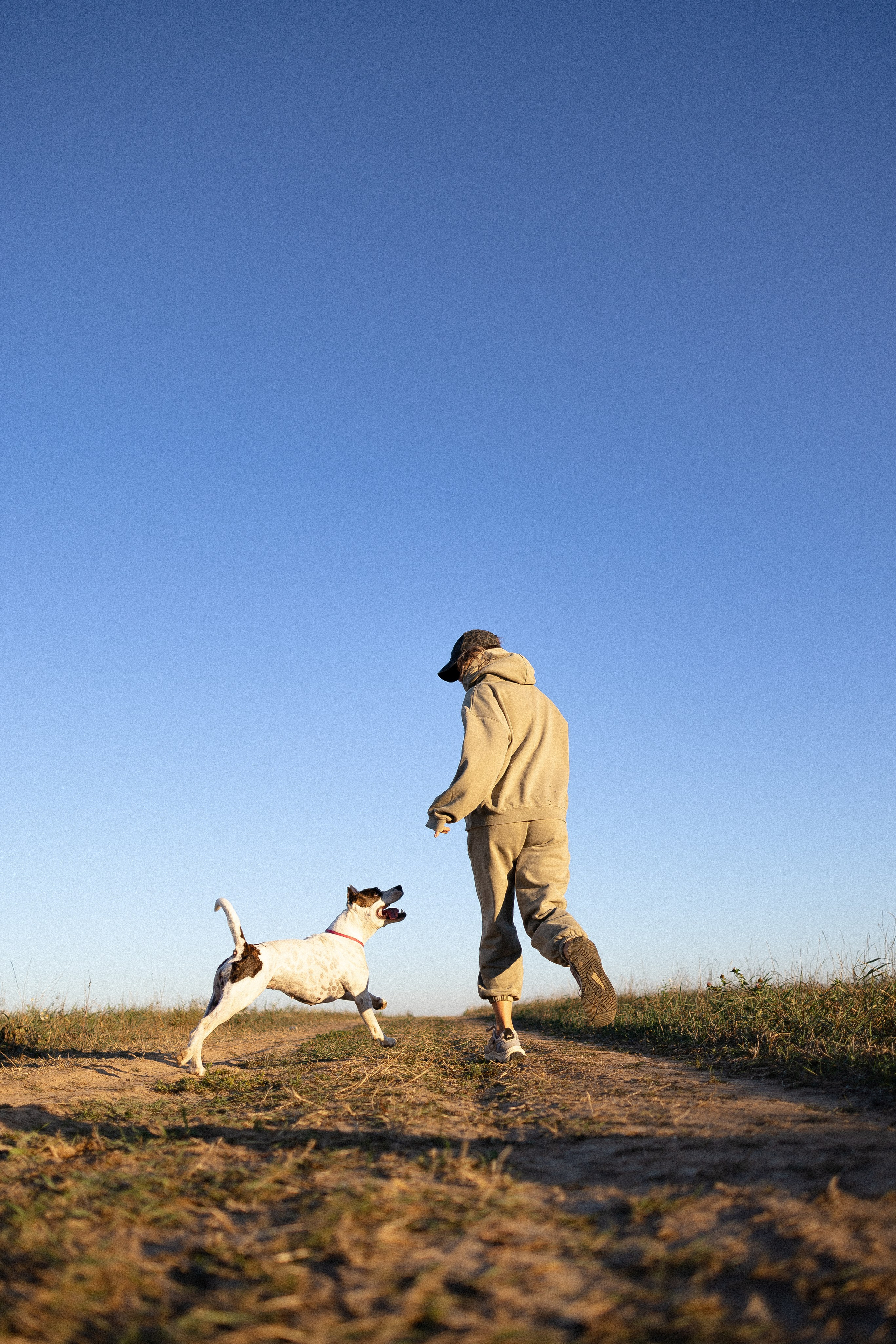 Женя, Афра и Молли. Фотограф и видеограф анималист Аганина Дарья