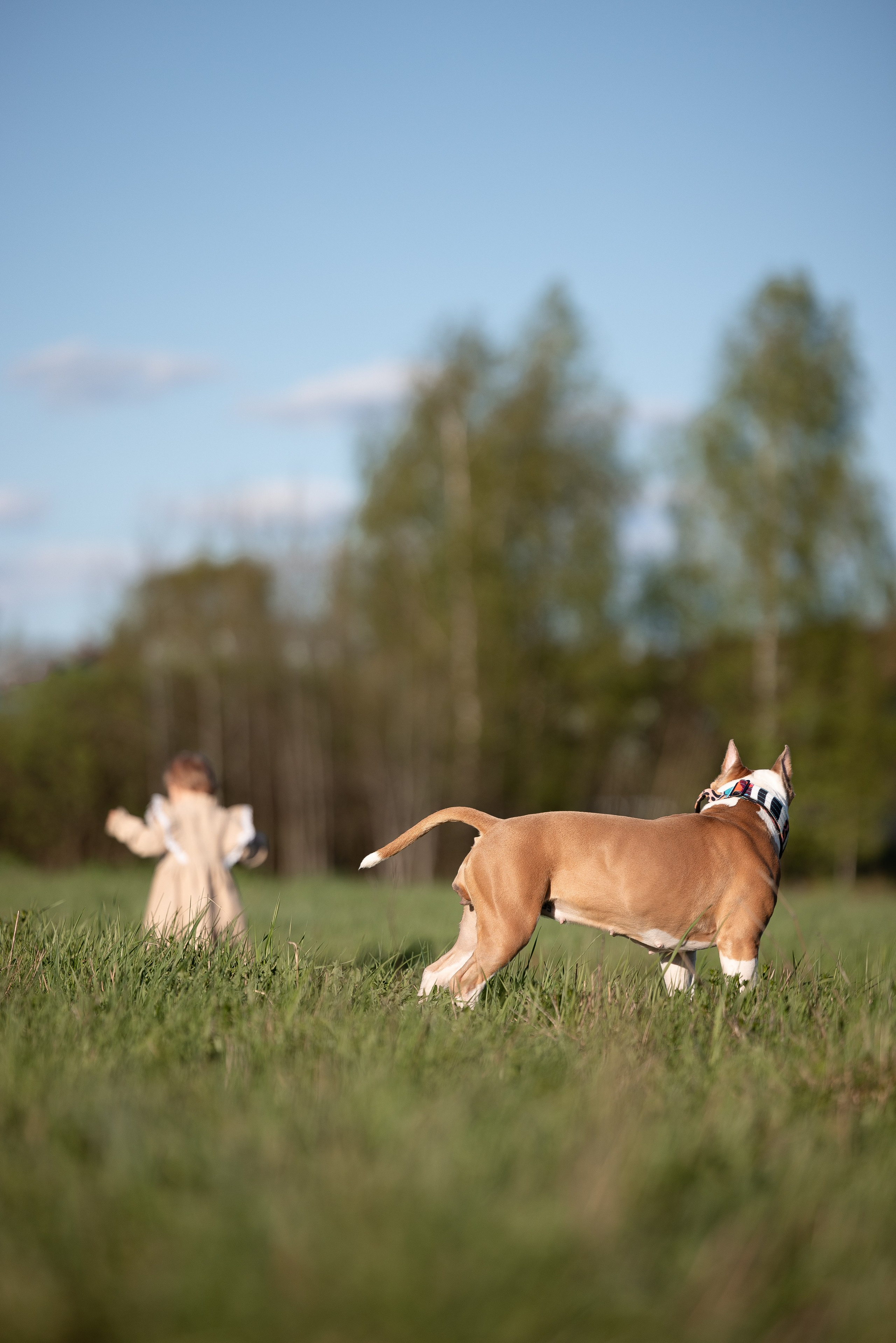 Шуня и ее семья. Фотограф и видеограф анималист Аганина Дарья