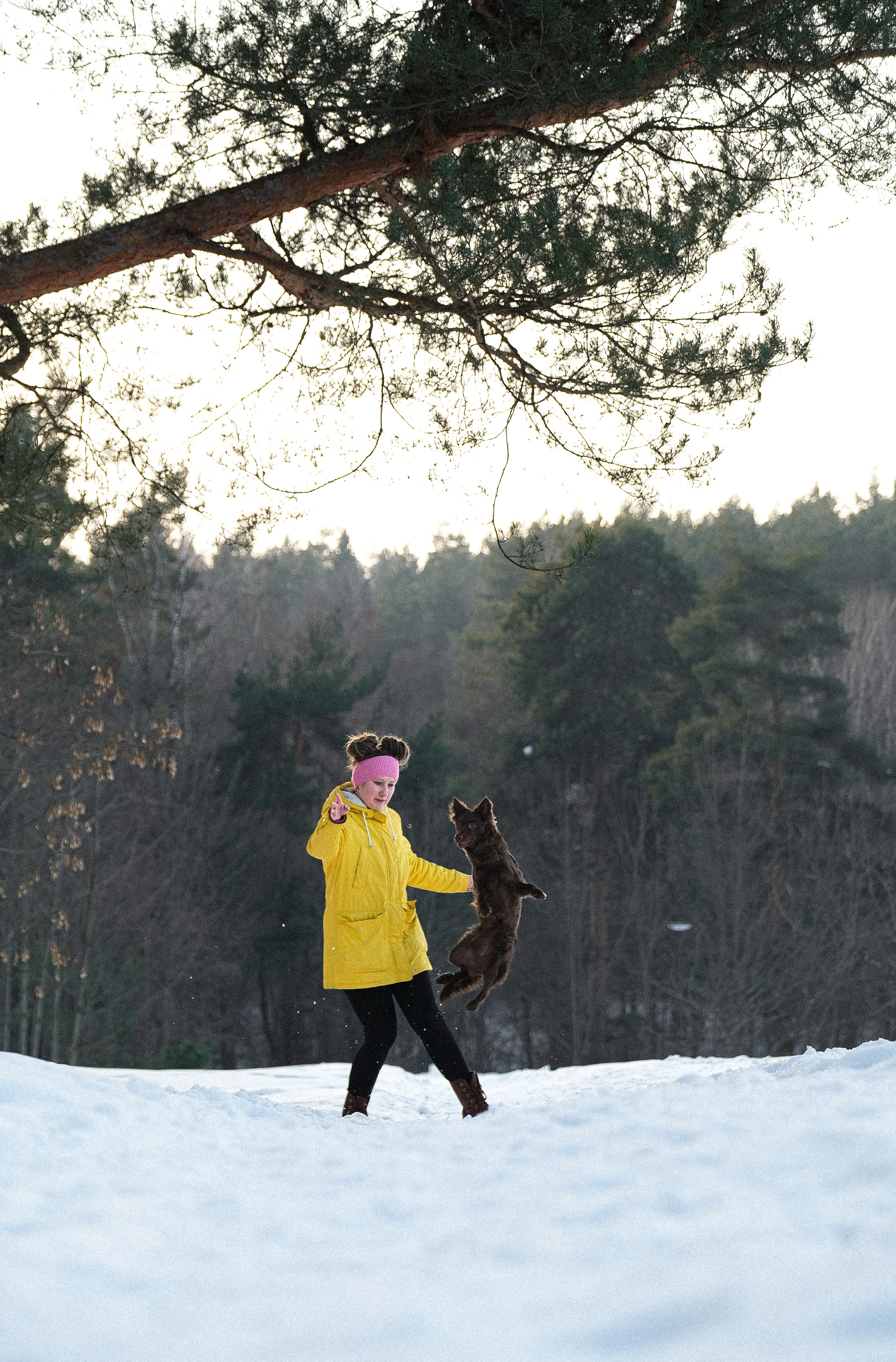 Маша и Одиссея. Фотограф и видеограф анималист Аганина Дарья