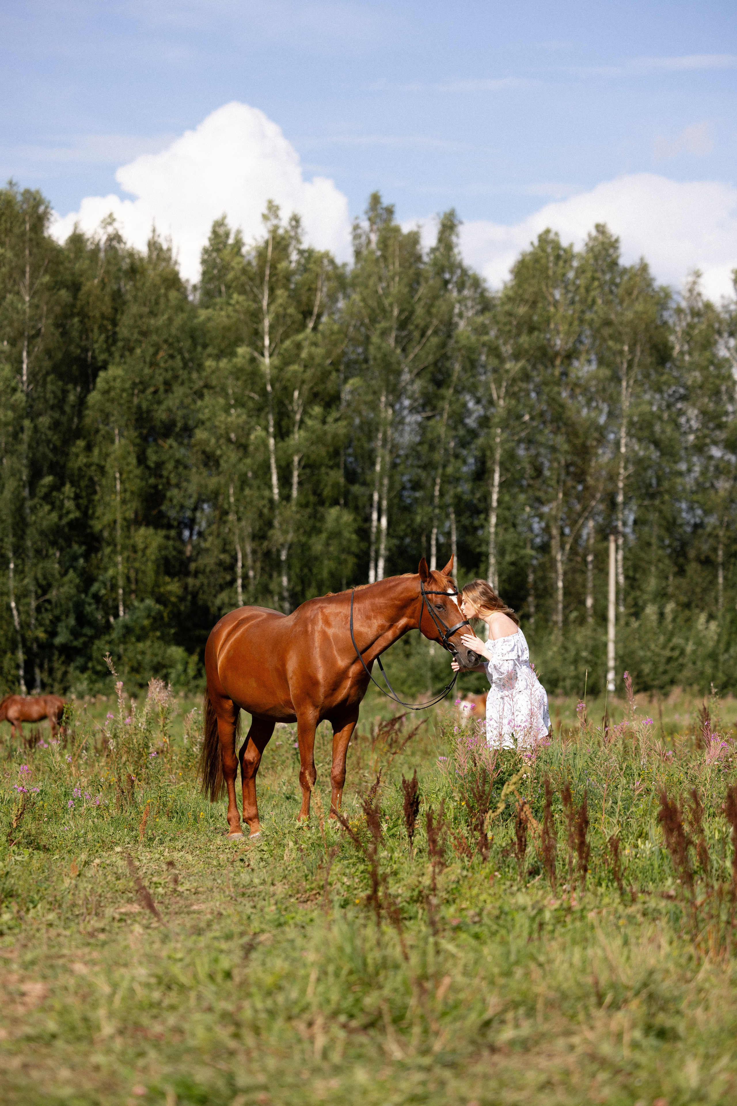 Мария и Реванш. Фотограф и видеограф анималист Аганина Дарья
