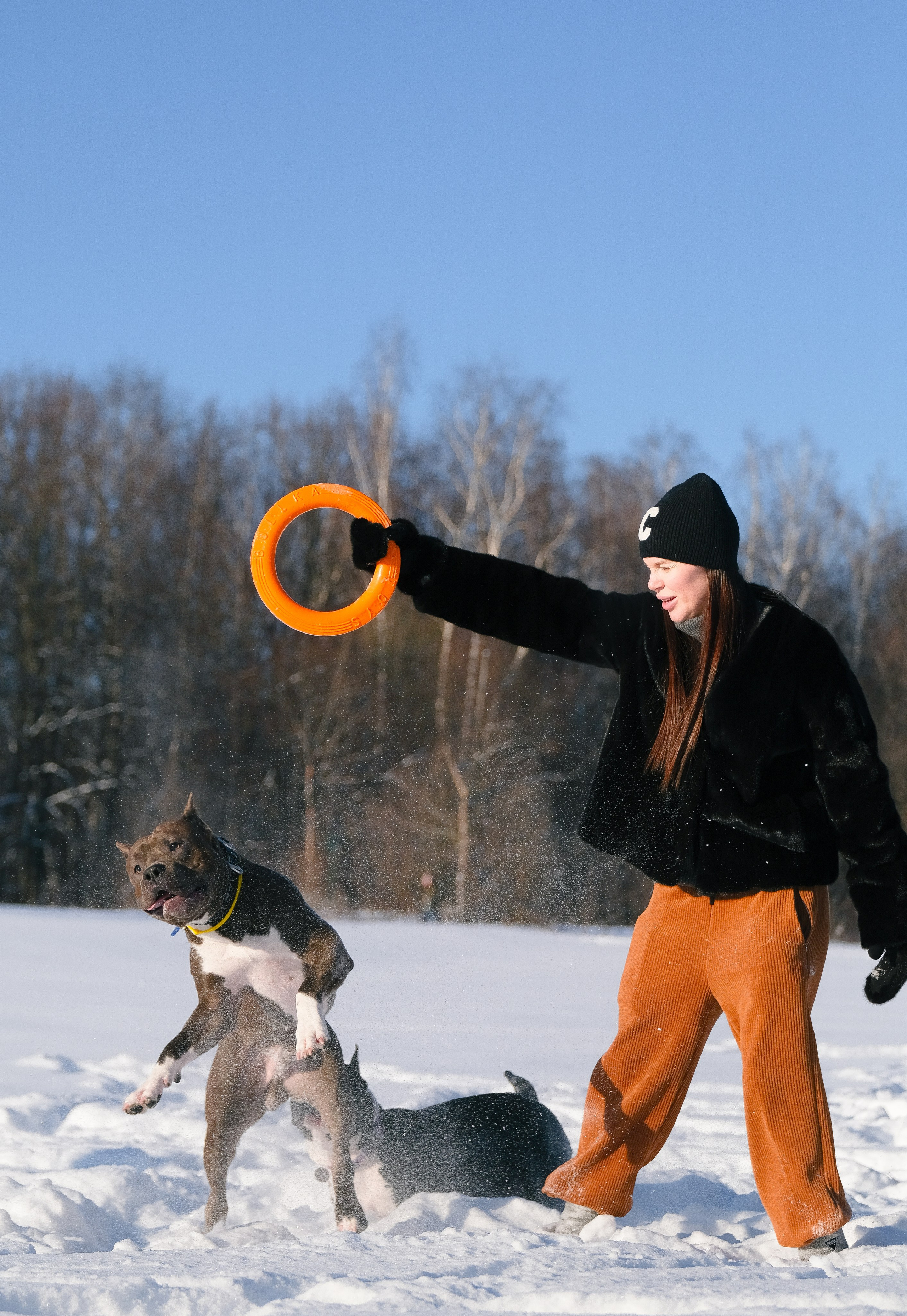 Баста и Эйгон. Фотограф и видеограф анималист Аганина Дарья