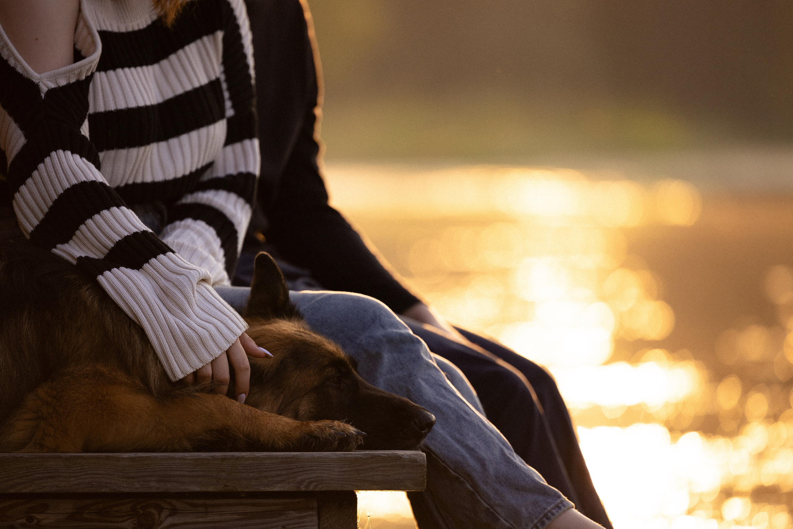 Алена, Матвей, Фанни и Фрея. Фотограф и видеограф анималист Аганина Дарья