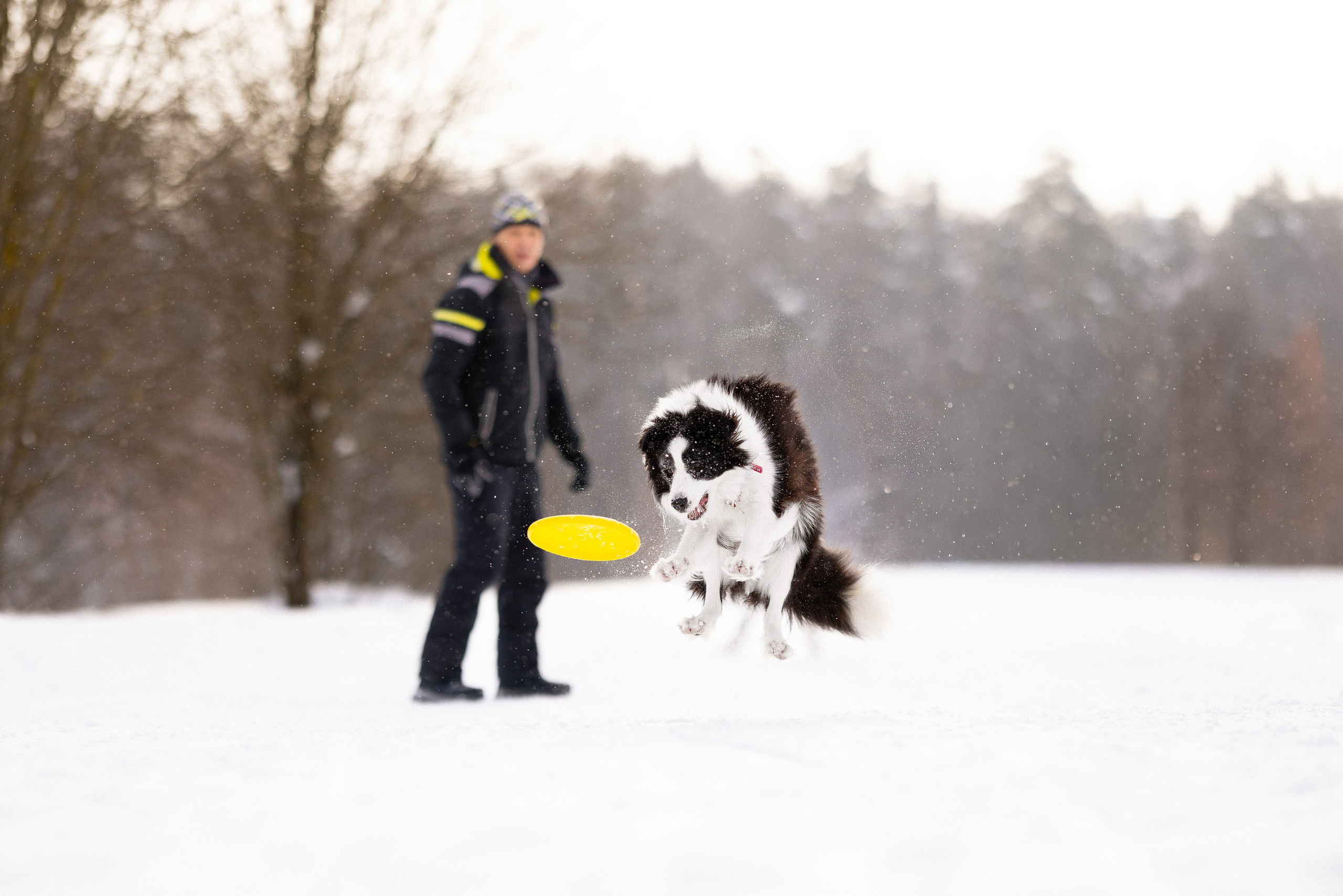 Лилия, Алексей и Ариана. Фотограф и видеограф анималист Аганина Дарья