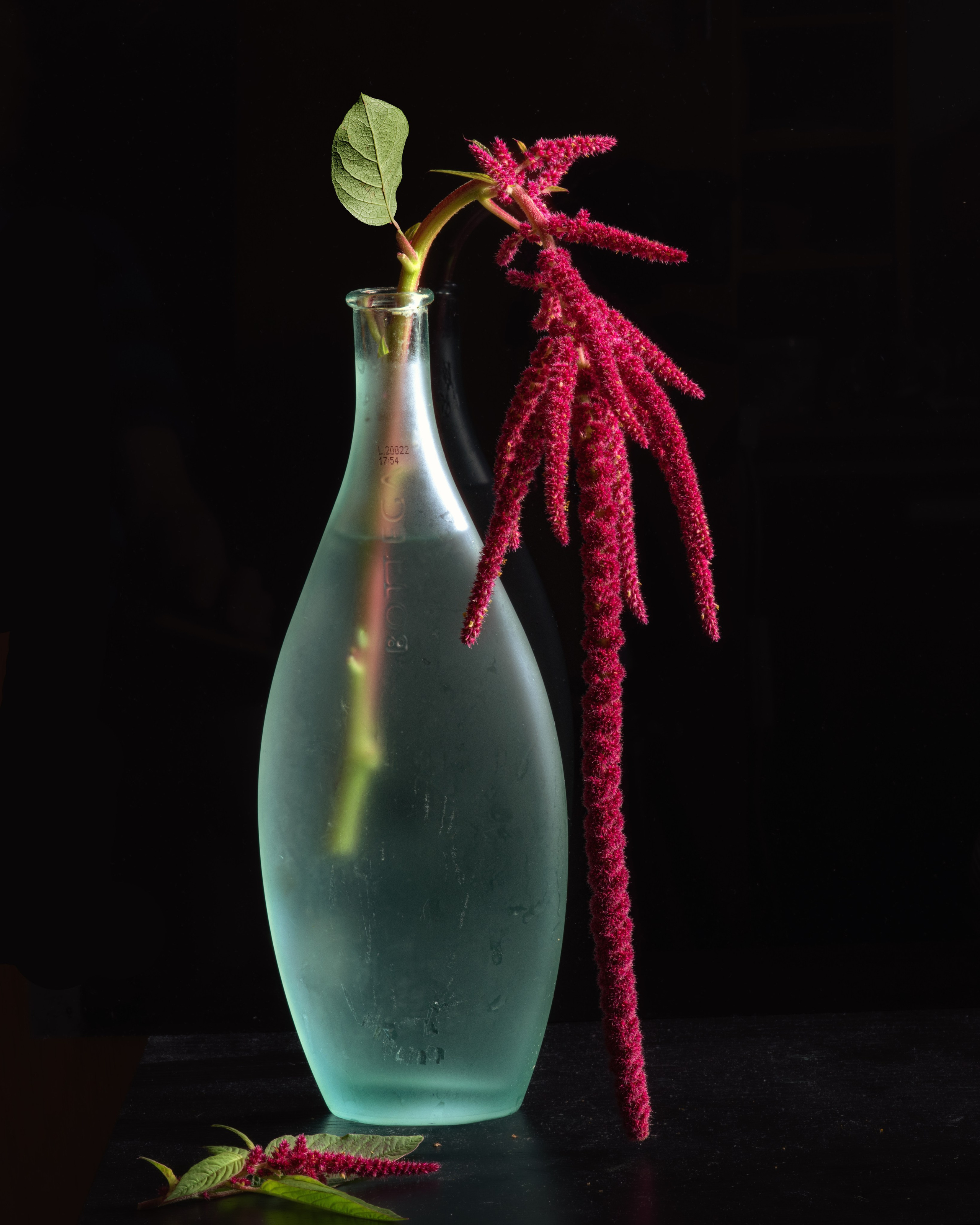 Предметная съемка. Пейзажный и семейный фотограф в Санкт-Петербурге Александр Белов