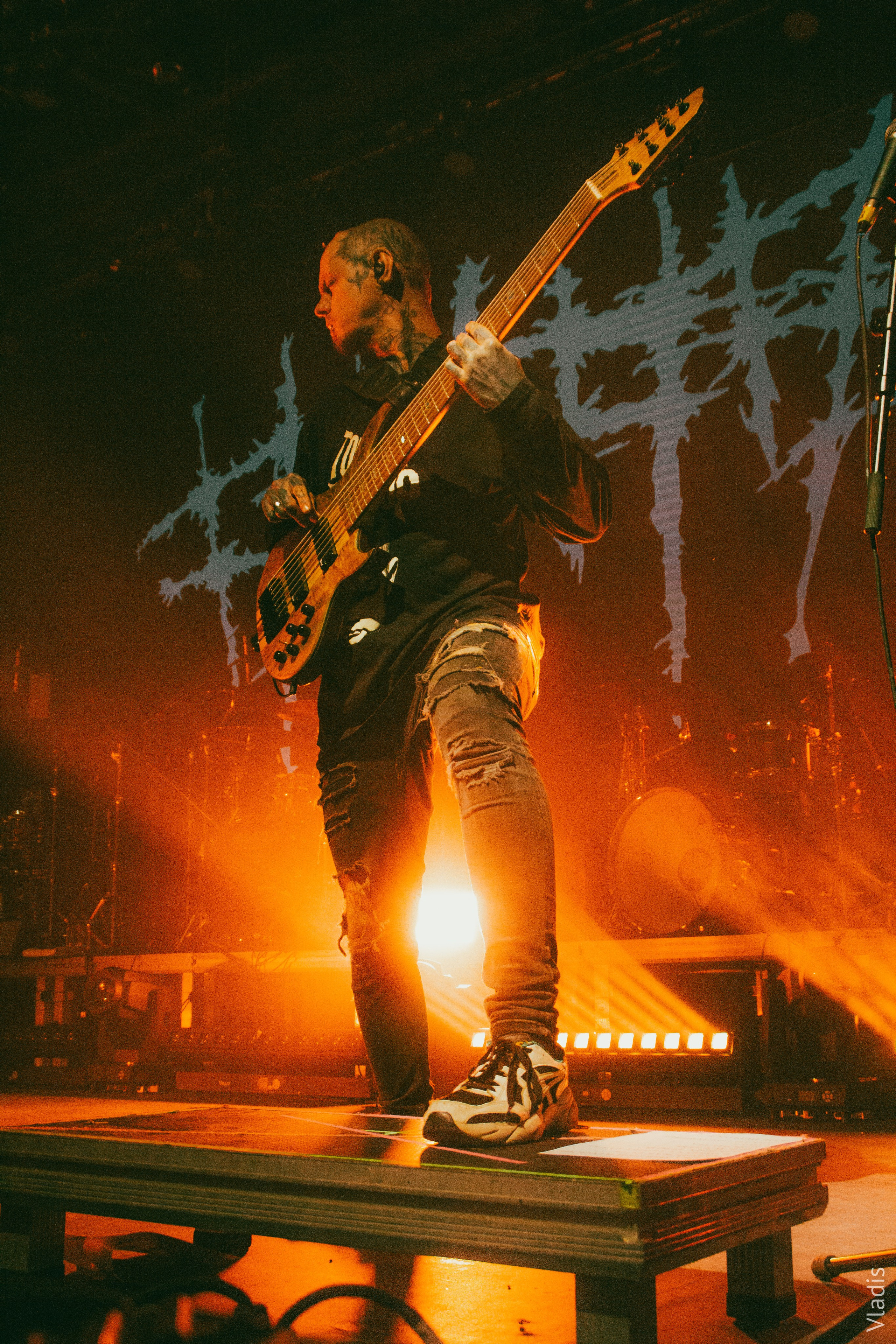 VLADIS PISKUNOV | Концертные Фото |Репортажи