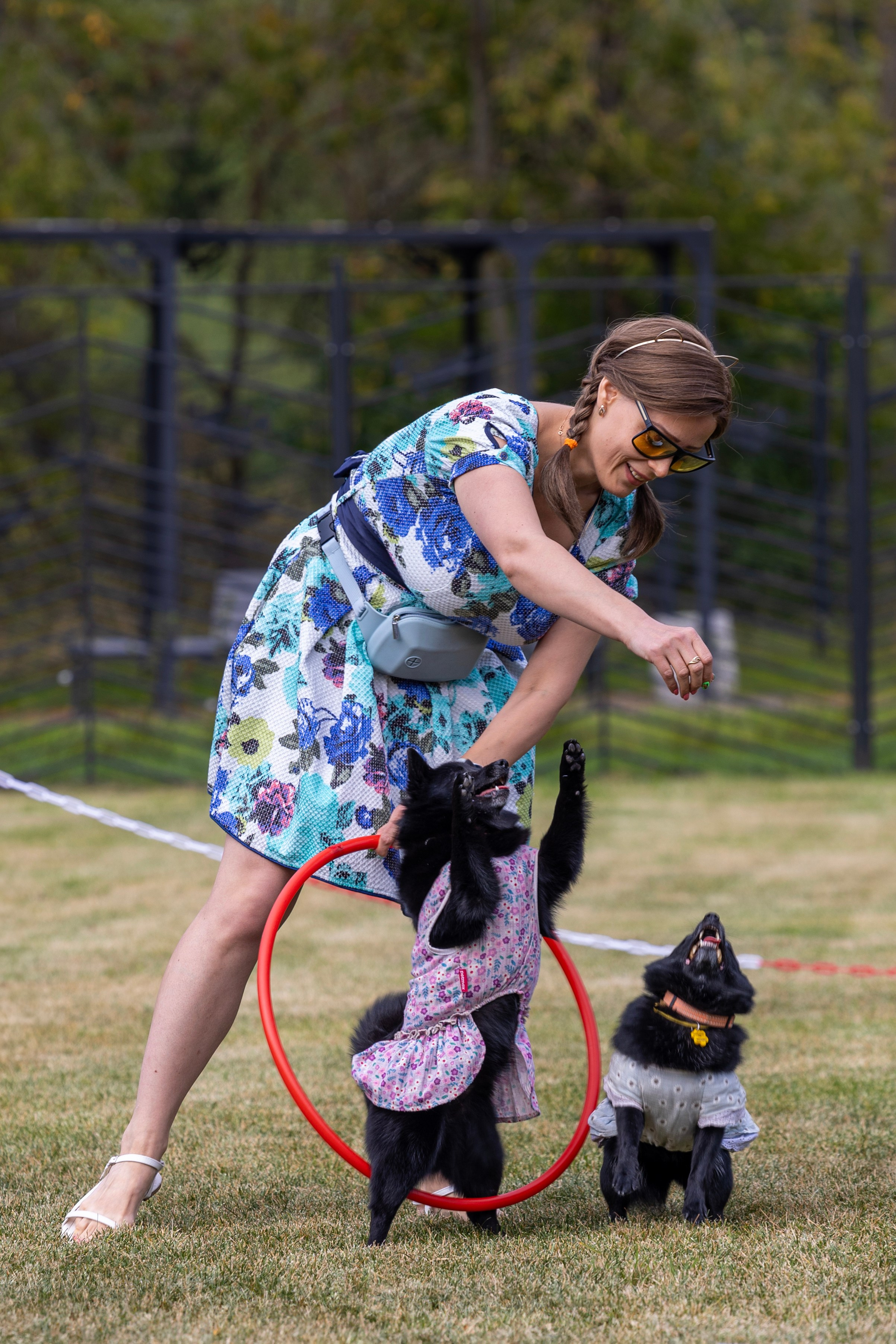 Съемка мероприятия: конкурс по танцам с собаками. Фотография. Юрий Савин