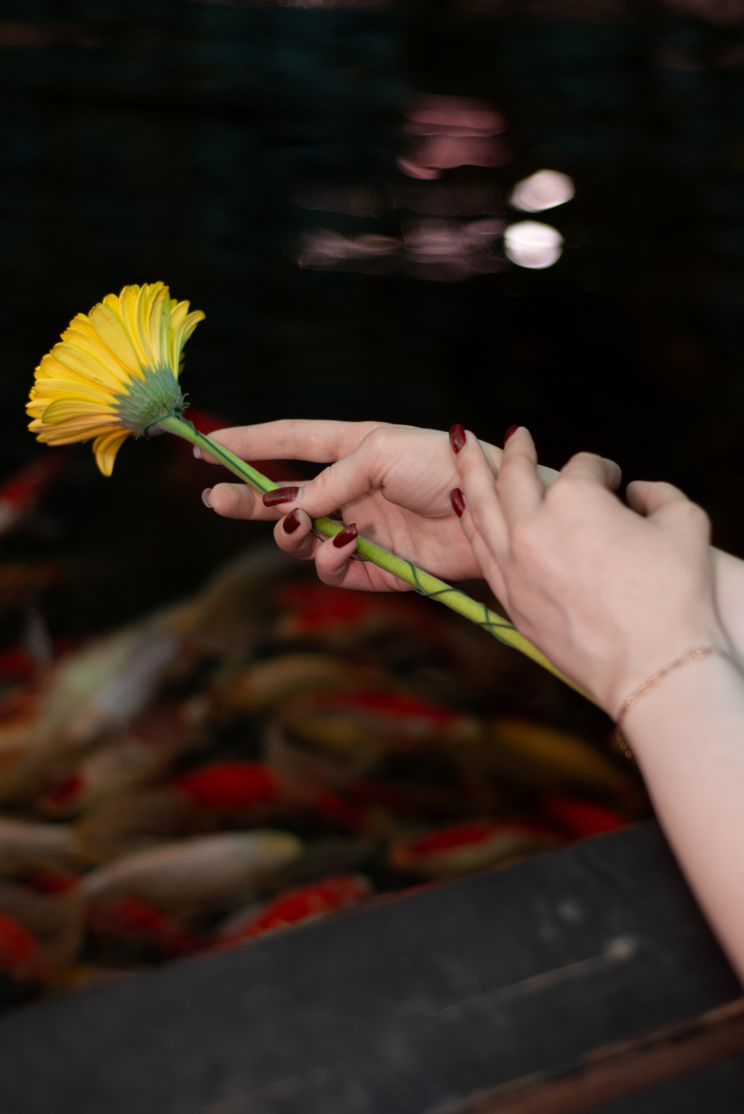 Рада. Фотограф Софья Власенко | Вологда