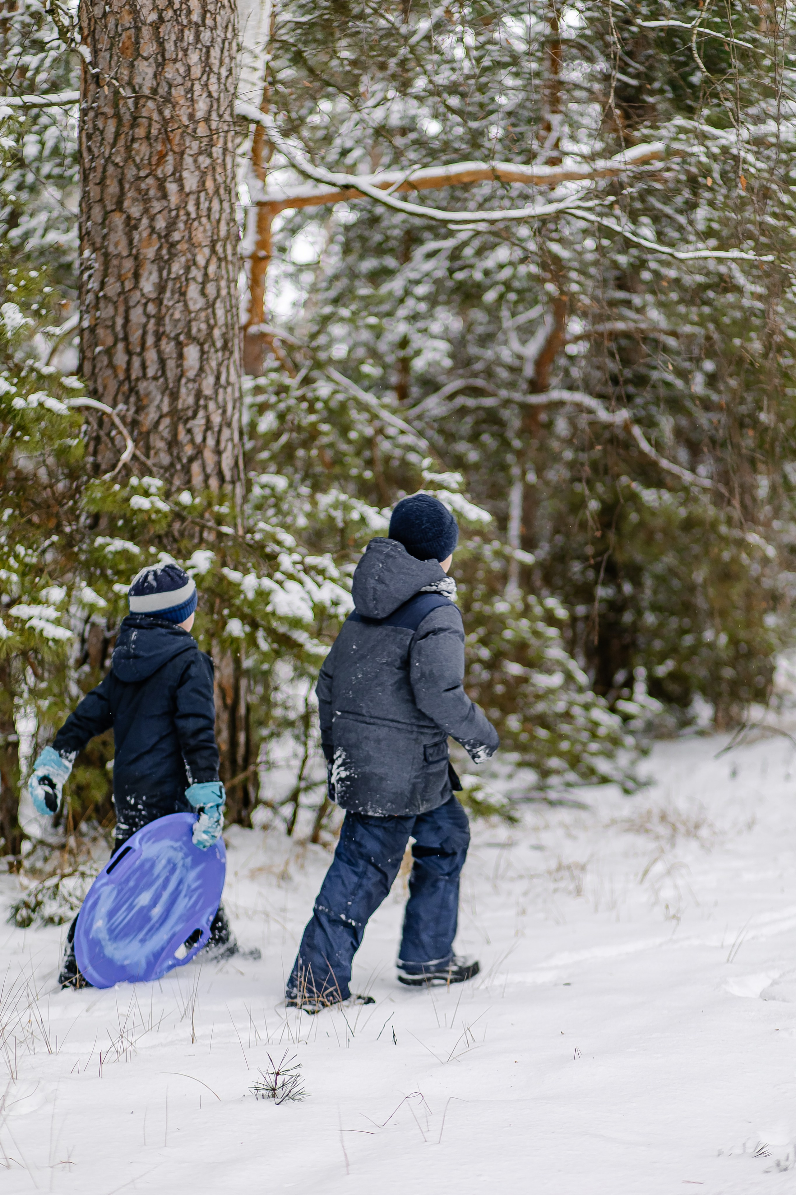 Прогулка в лесу. Свадебный и семейный фотограф в Рязани Саша Крутых