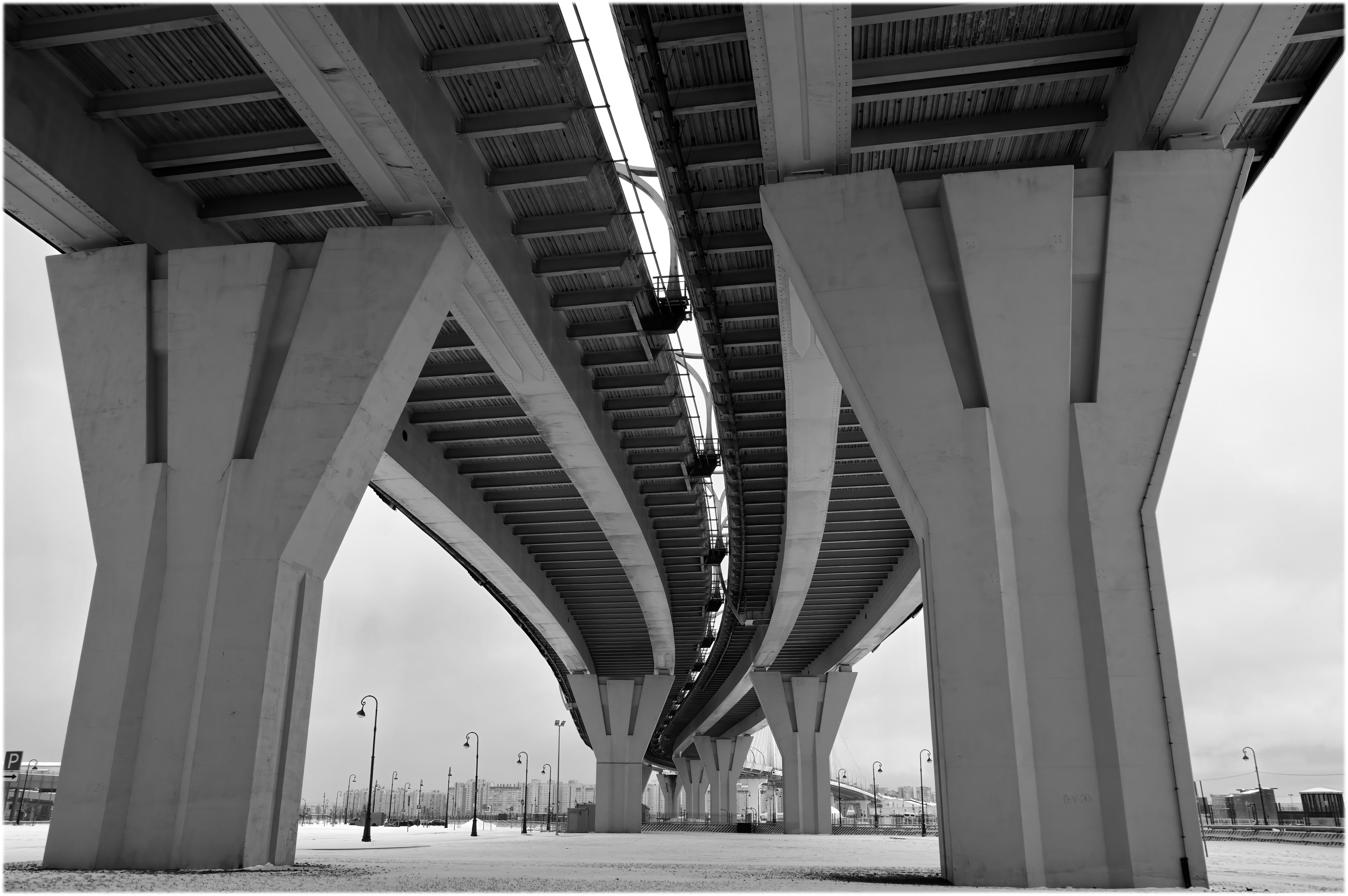 Санкт-Петербург. Вадим Шейдин