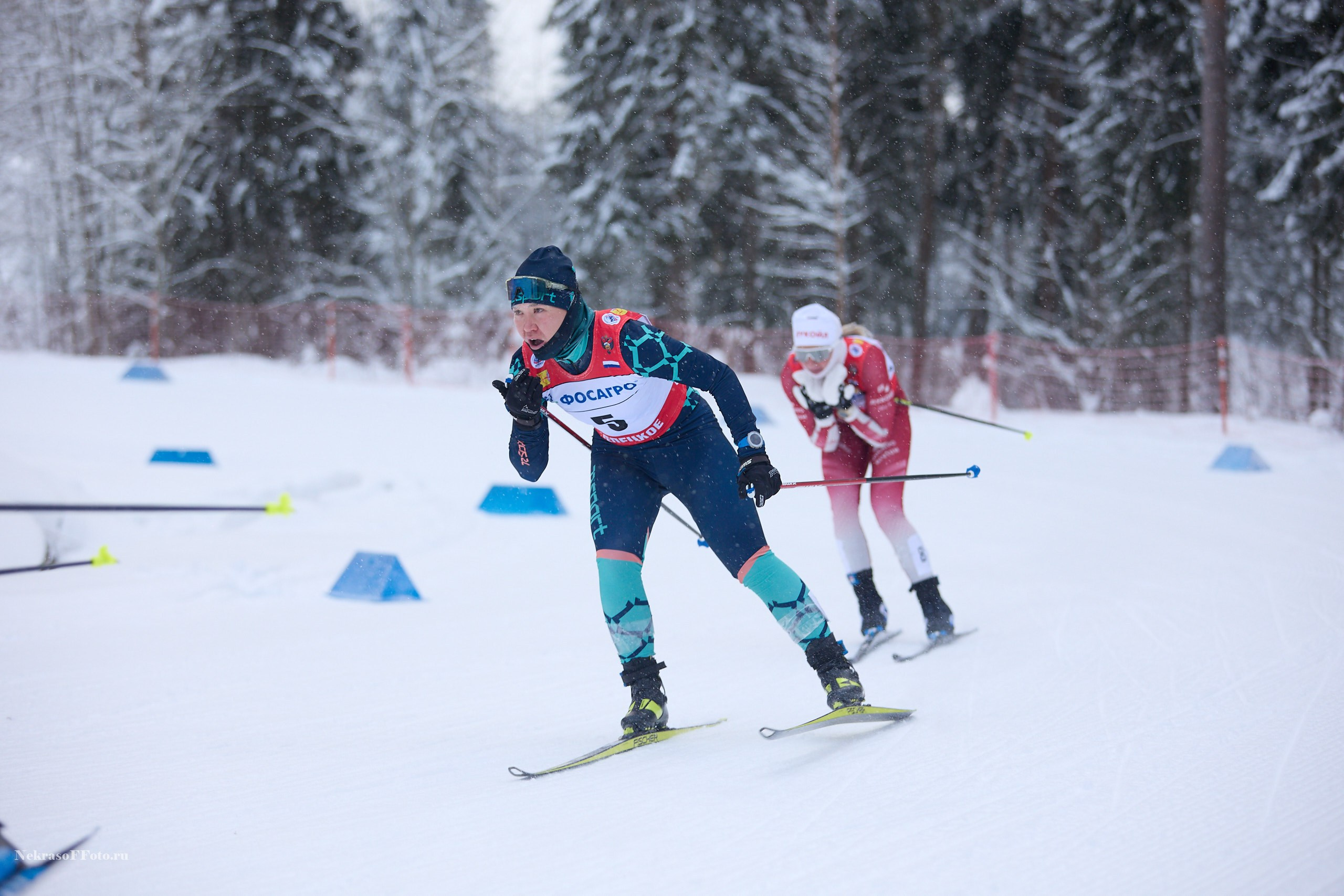 Кубок России по Лыжным гонкам. Спортивный фотограф Некрасов Денис