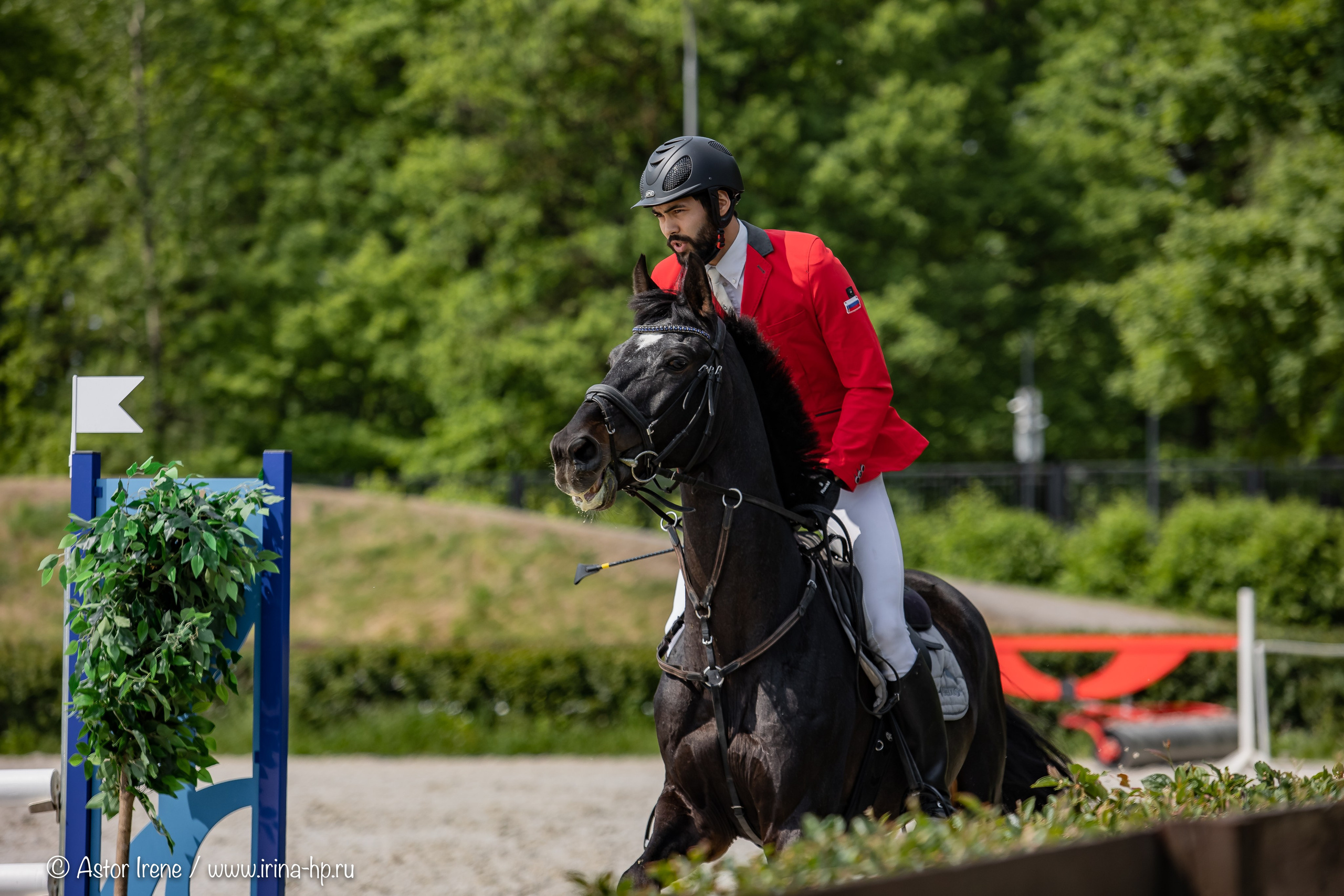 Спортивные мероприятия. Фотограф Ирина Астор