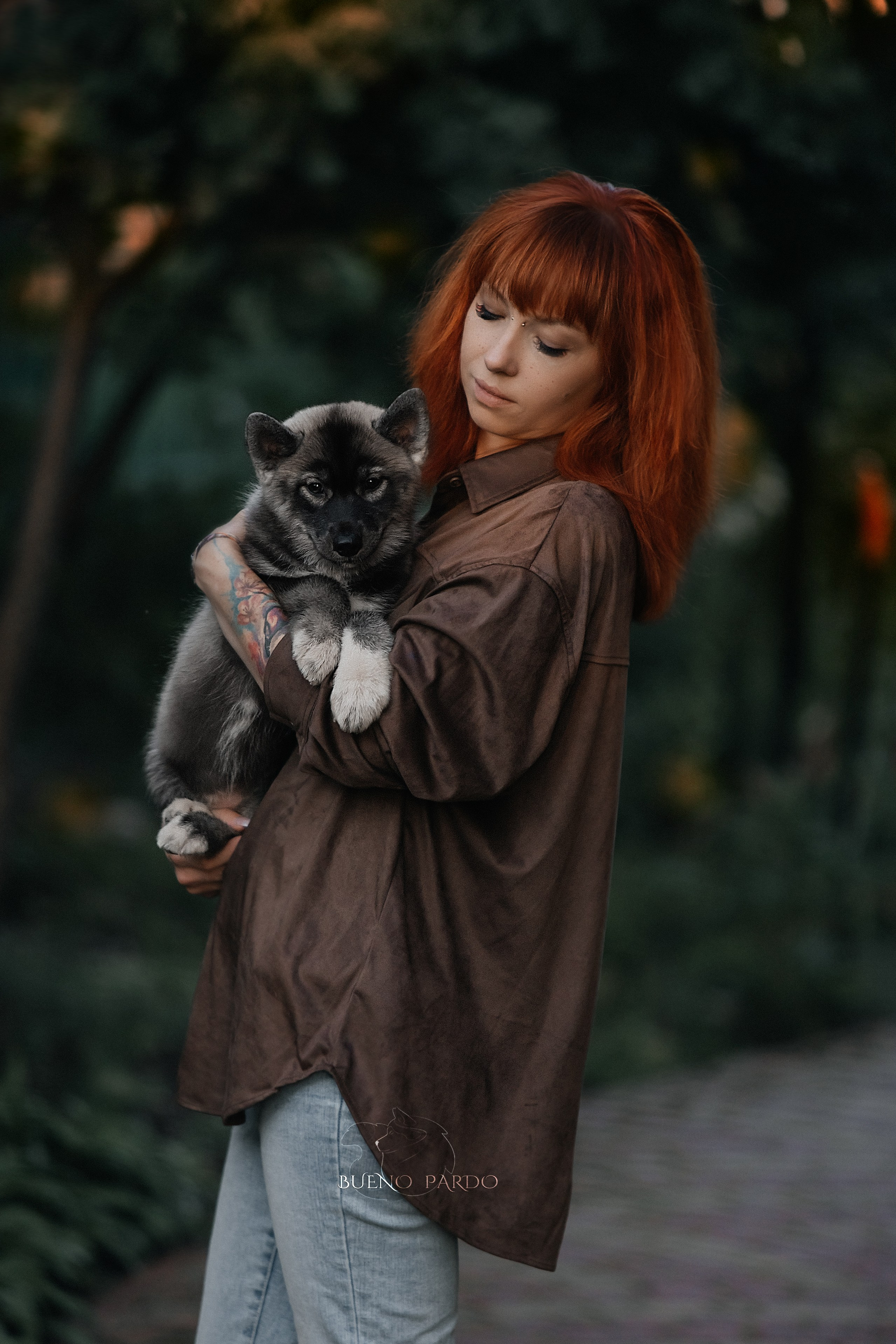 Щенки сибирского хаски из питомника. Питомник собак Акита, Хаски, Корги