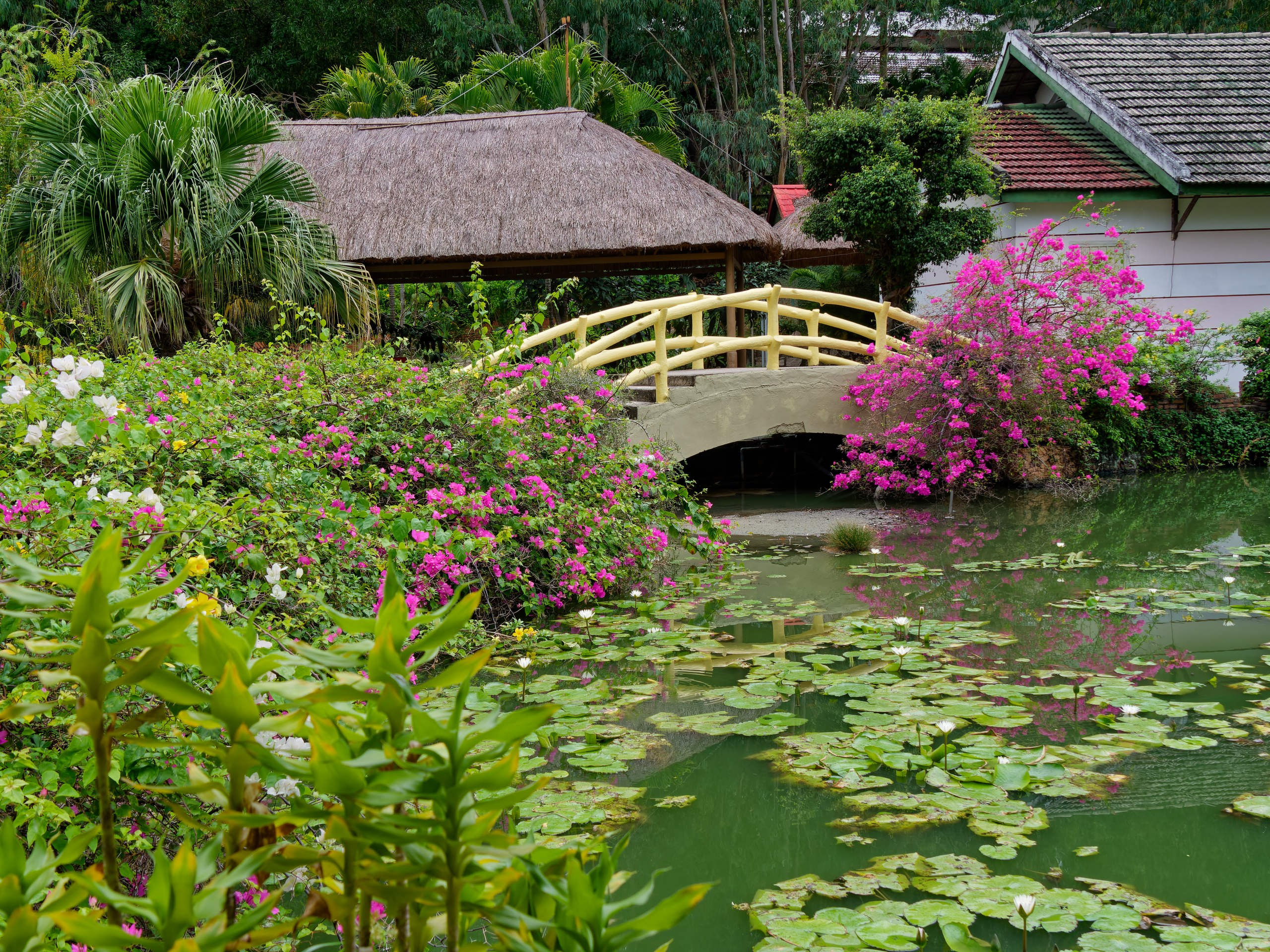 Нячанг 2025 (4). Избранные фотографии