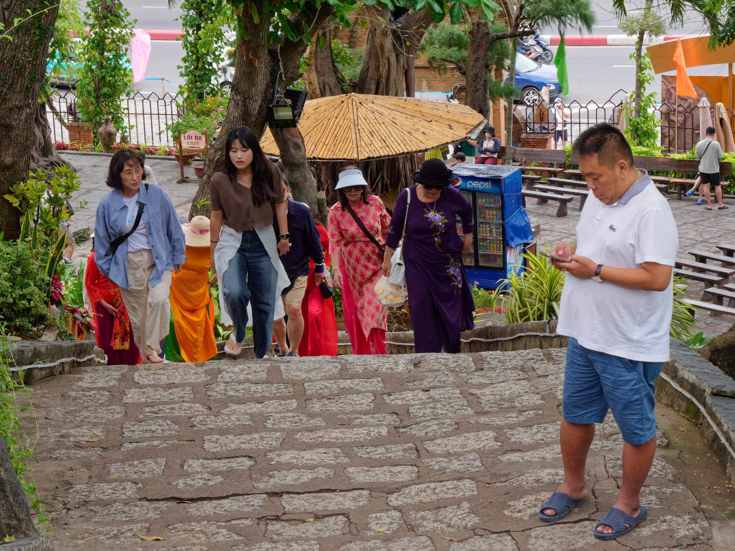 Нячанг 2025 (4). Избранные фотографии