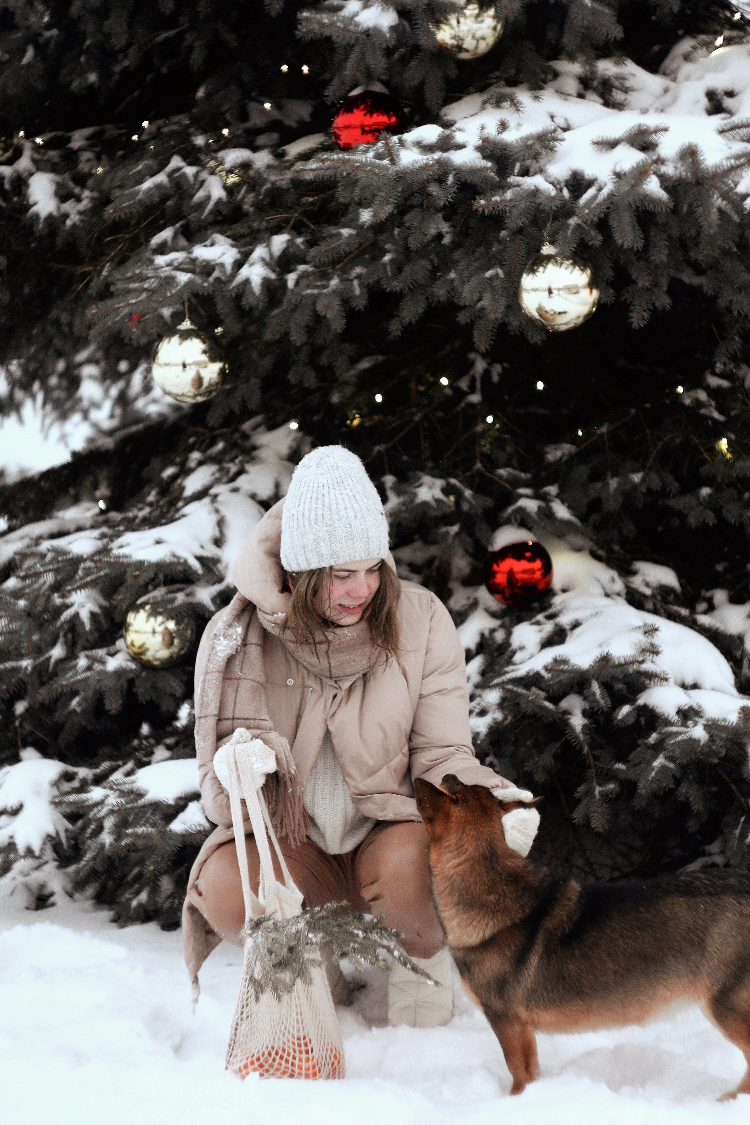 Зимний январь. Photography Eva