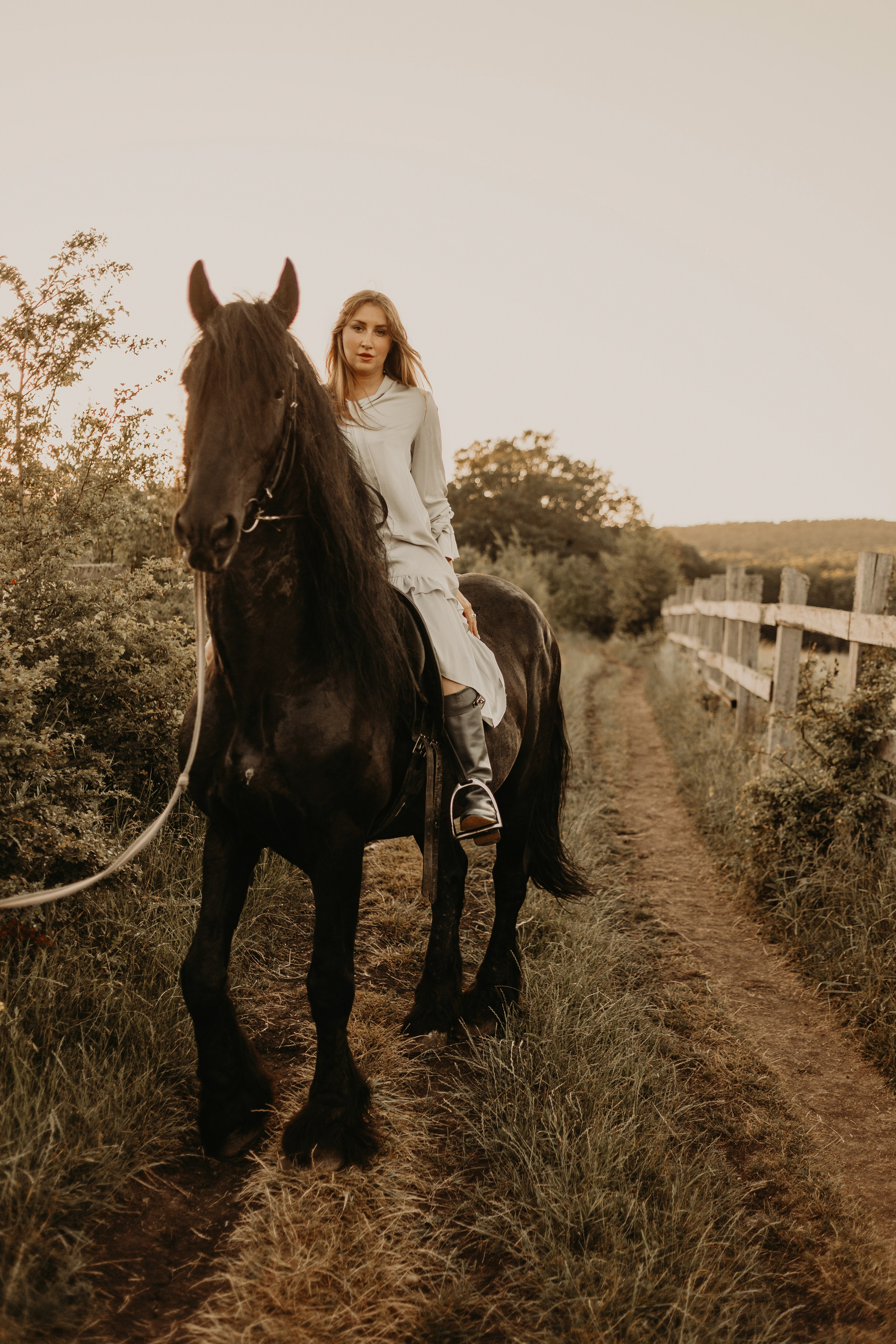 На коне. Фотограф в Краснодаре Евгения Михаевич