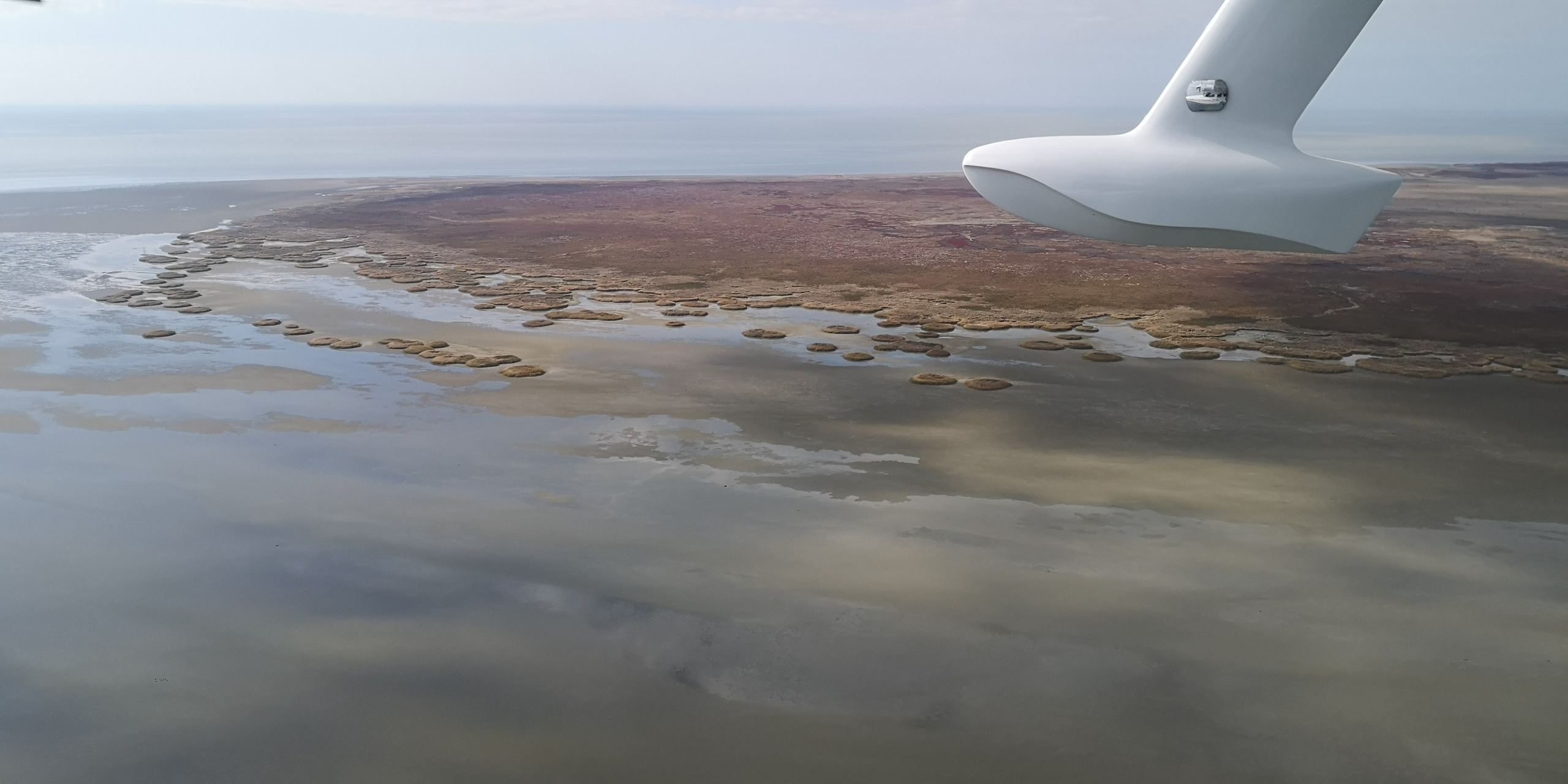 Каспийское море (наука на Ла-8) (2021 г.). Фотоальбом показывающий увлекательный мир авиации и мир медведей Андрея Иванова