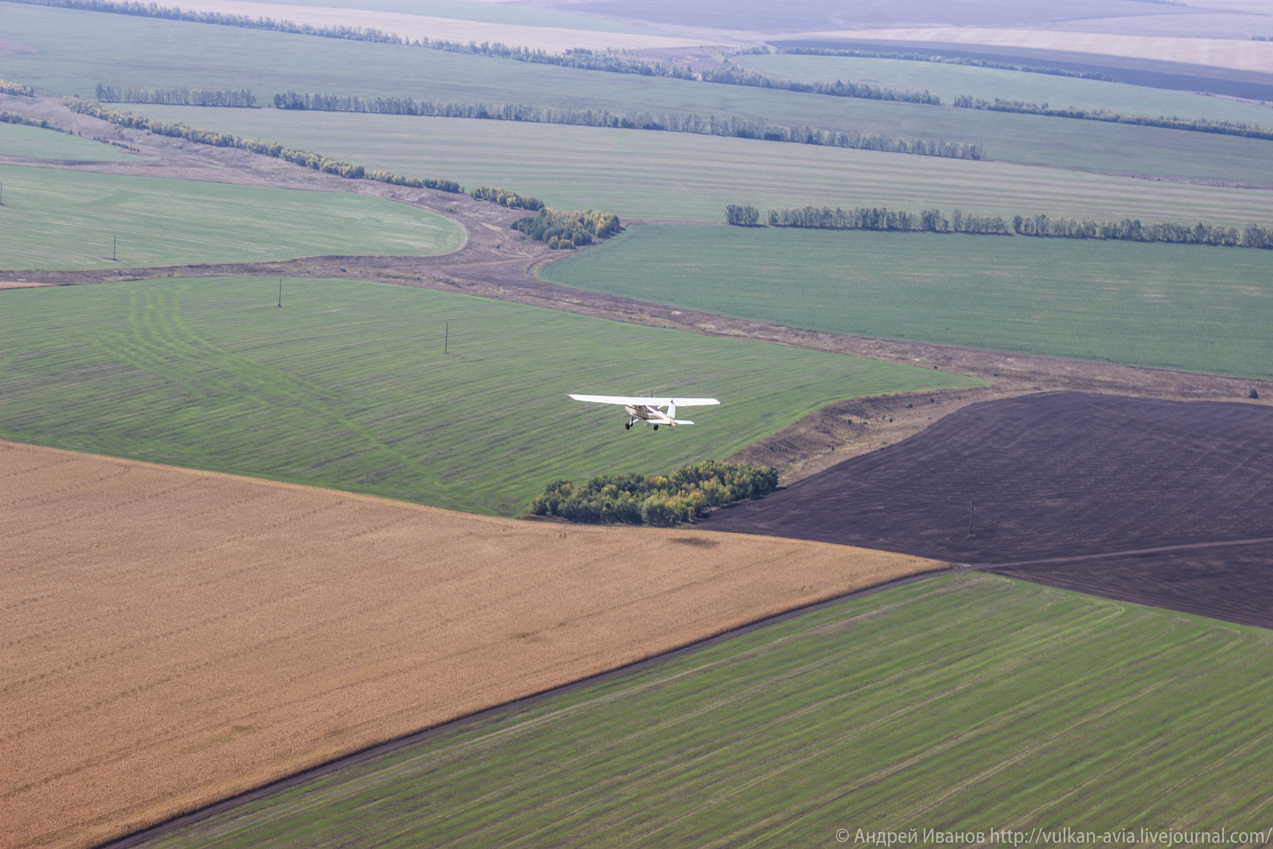 Волгодонск аэр. Потапов слёт «Небо для всех» (2021 г.). Фотоальбом показывающий увлекательный мир авиации и мир медведей Андрея Иванова