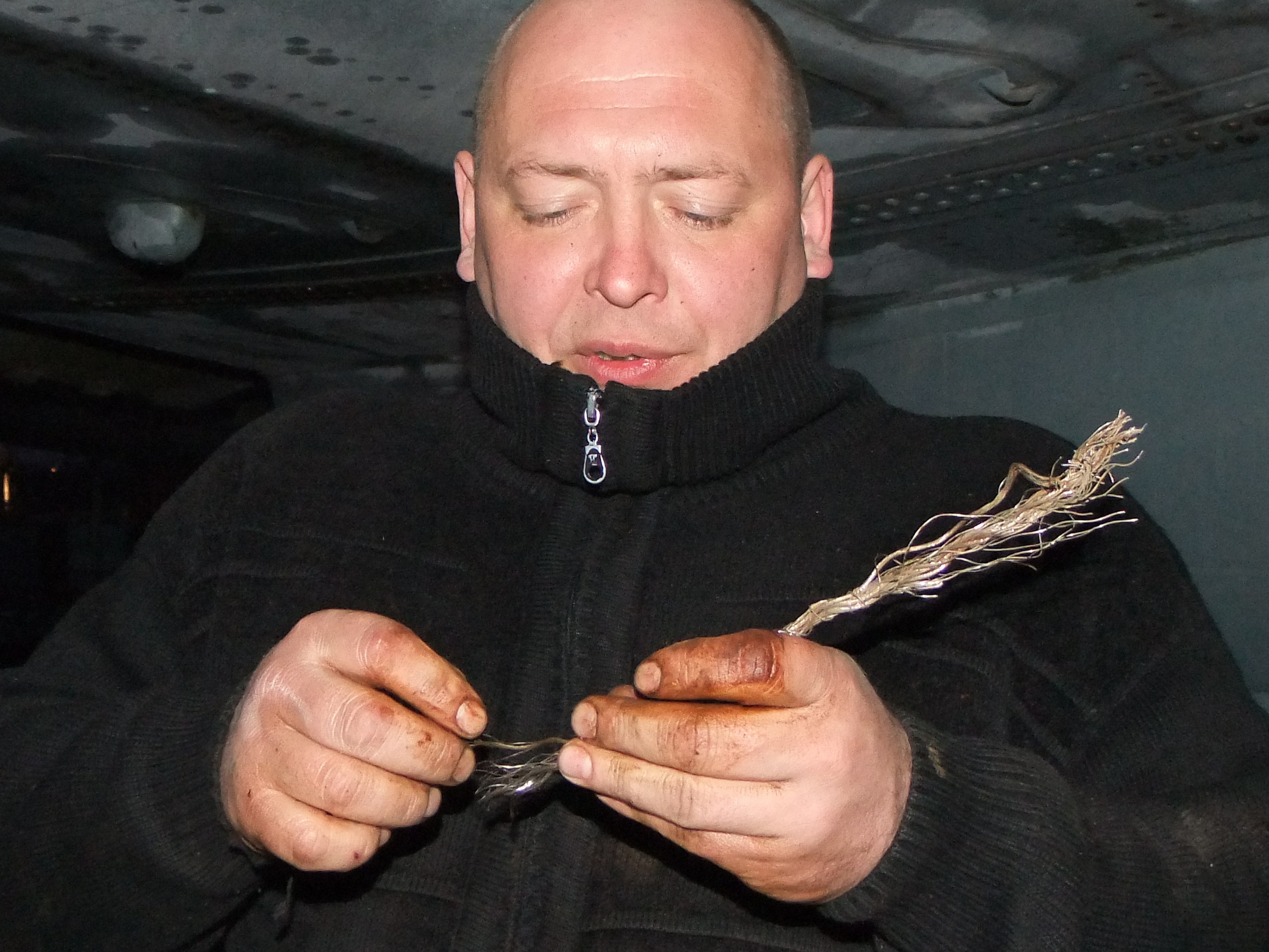 Ил-14Т «Голубая Мечта» работы в Тушино (2011 г.). Фотоальбом показывающий увлекательный мир авиации и мир медведей Андрея Иванова