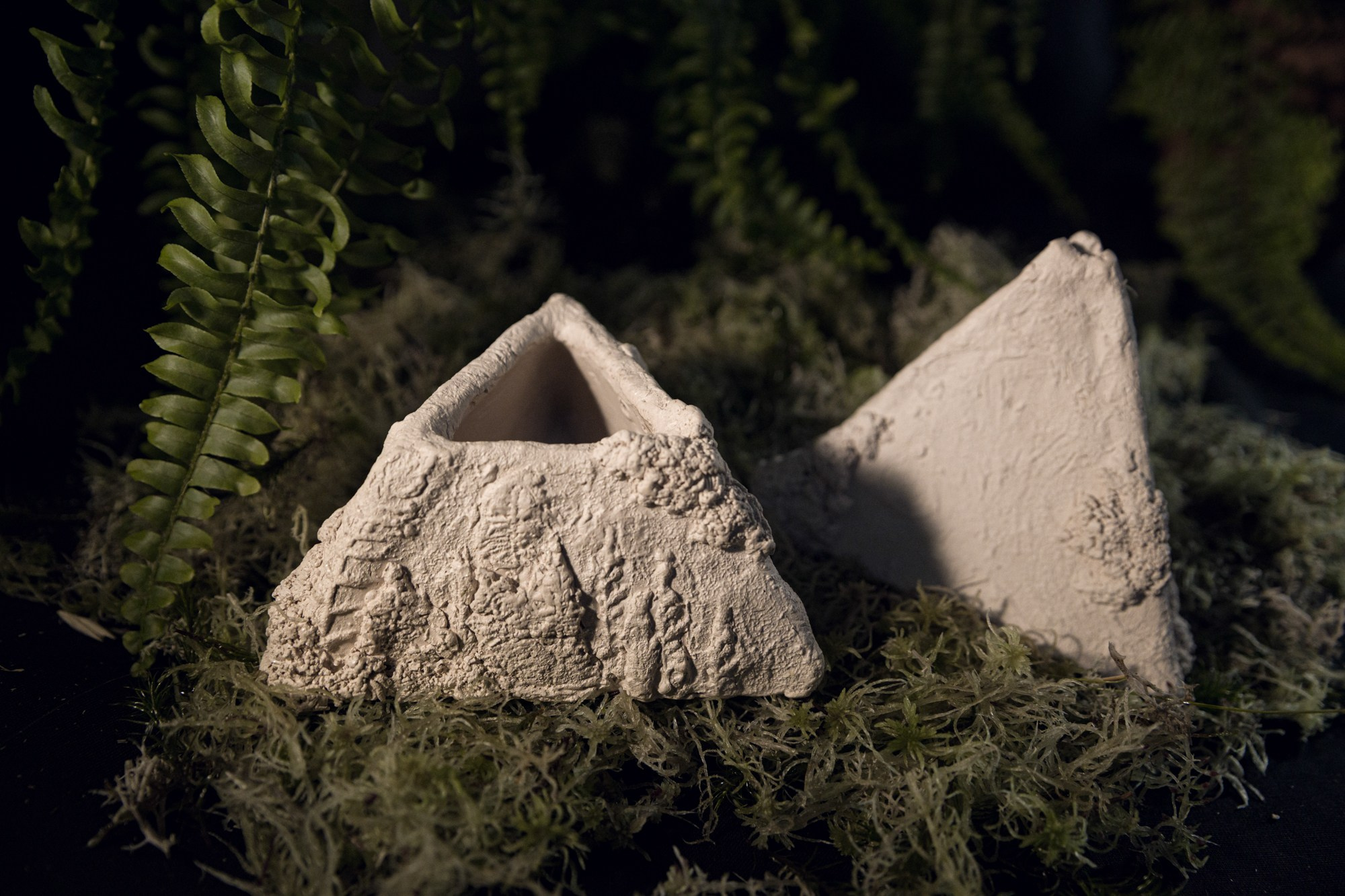 «Источник» НЕТ В НАЛИЧИИ. Катя Цвет