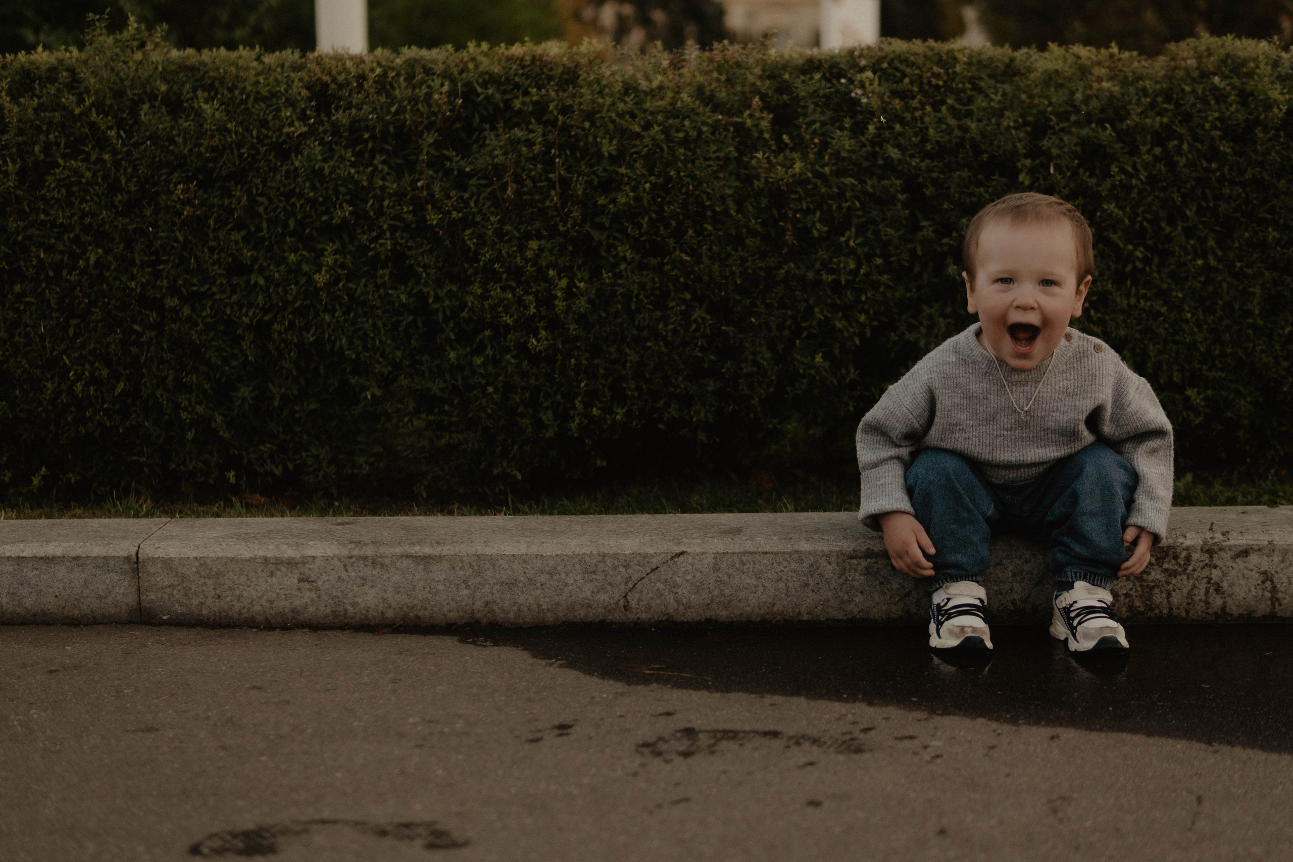 Ксюня, Ваня, Марк и 🐶. Свадебный фотограф Оля Григунова