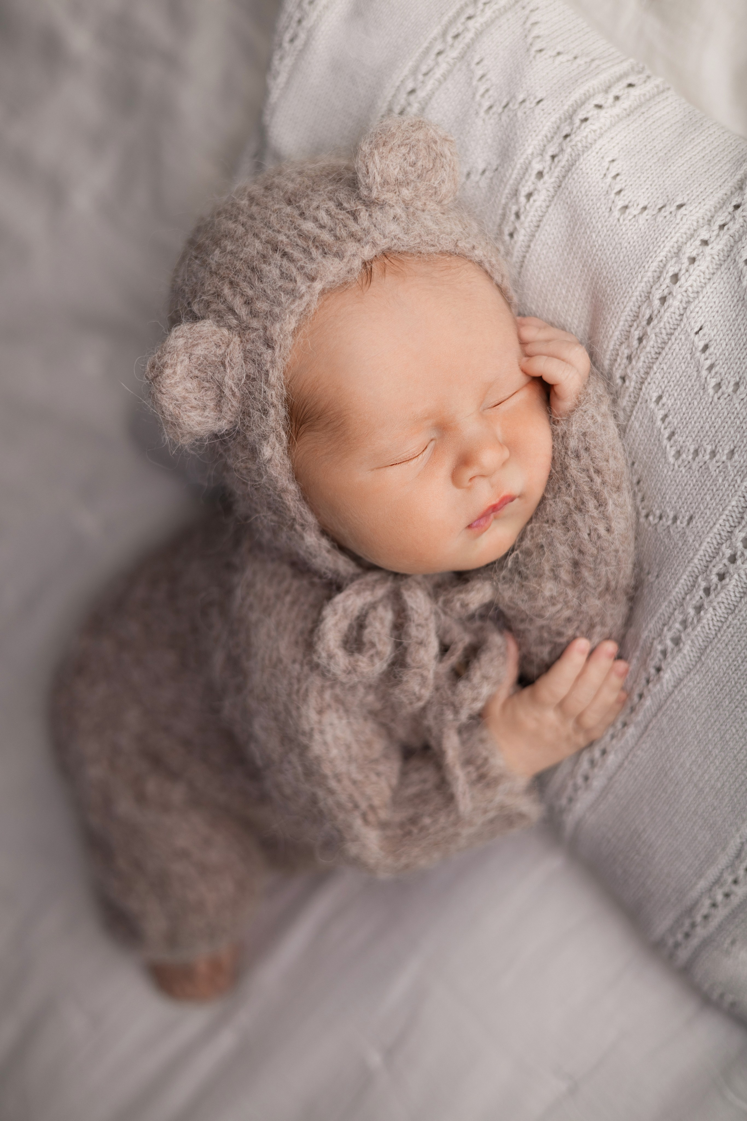 Лев. Лилия Алтухова — фотограф новорожденных в Москве и области