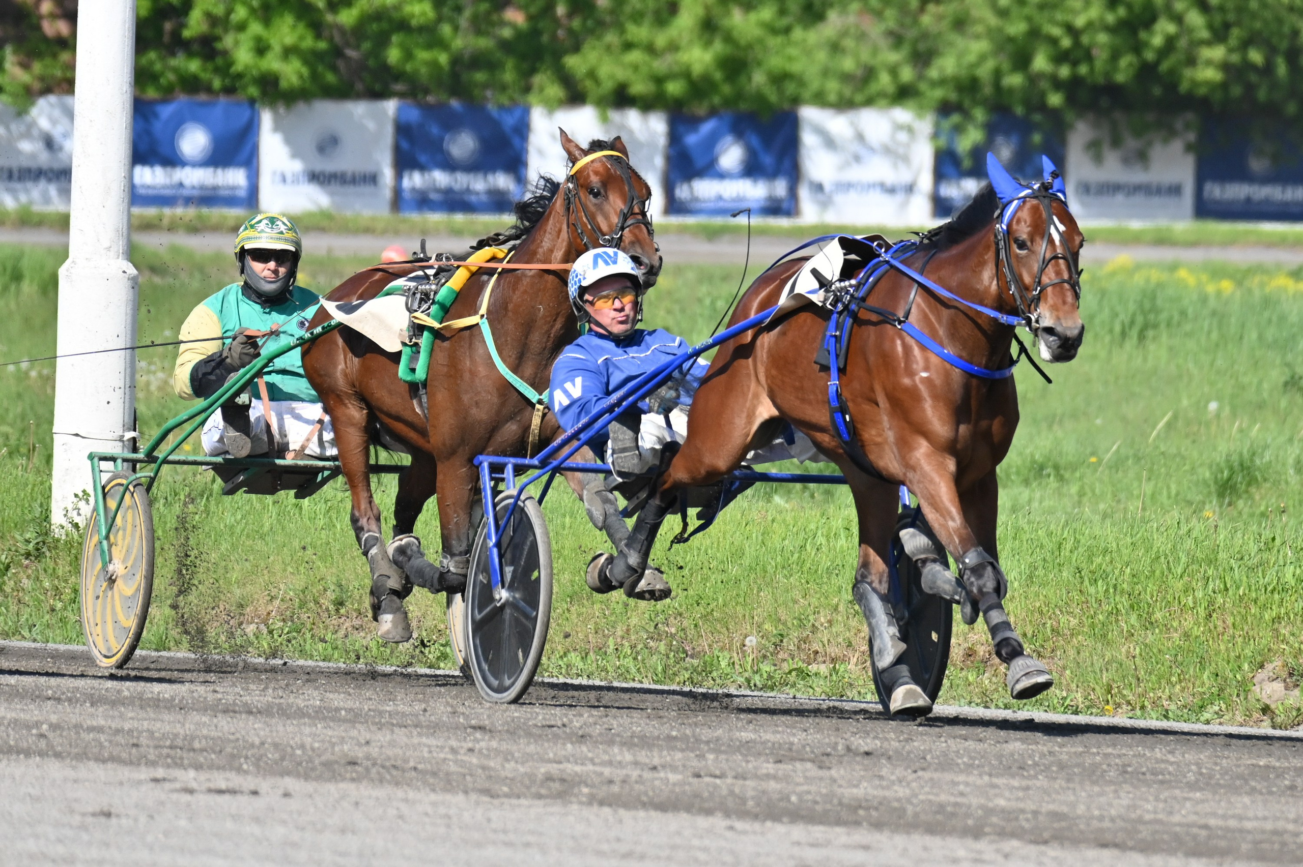 Ипподром (Москва). Fotolux