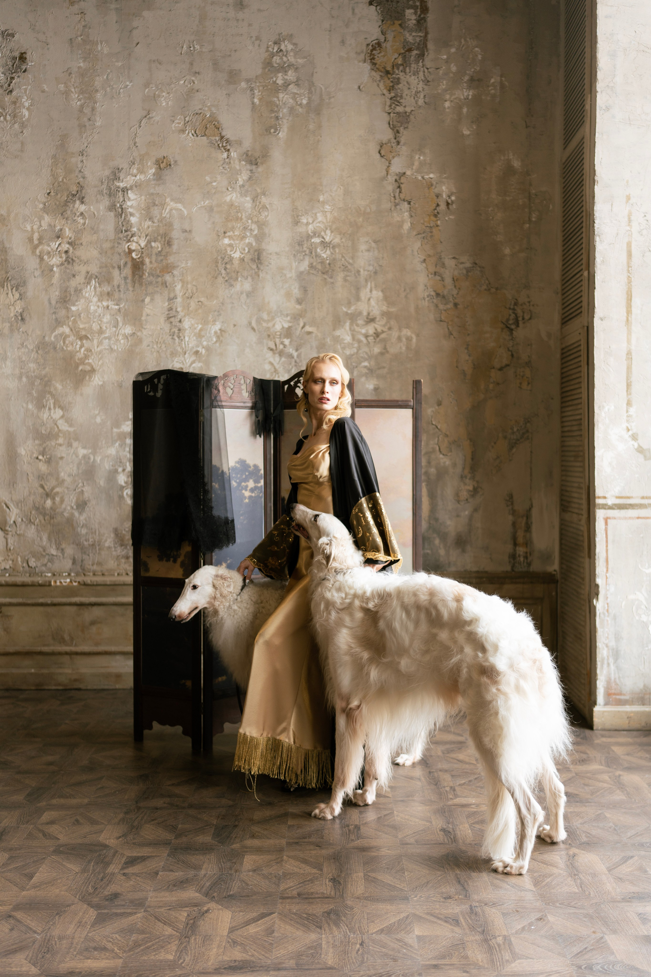 Персональная женская фотосессия в студии. Студийная фотосъёмка. Фотосессия с борзыми. Белые борзые. Королевские белые борзые Пегас и Изабелла.