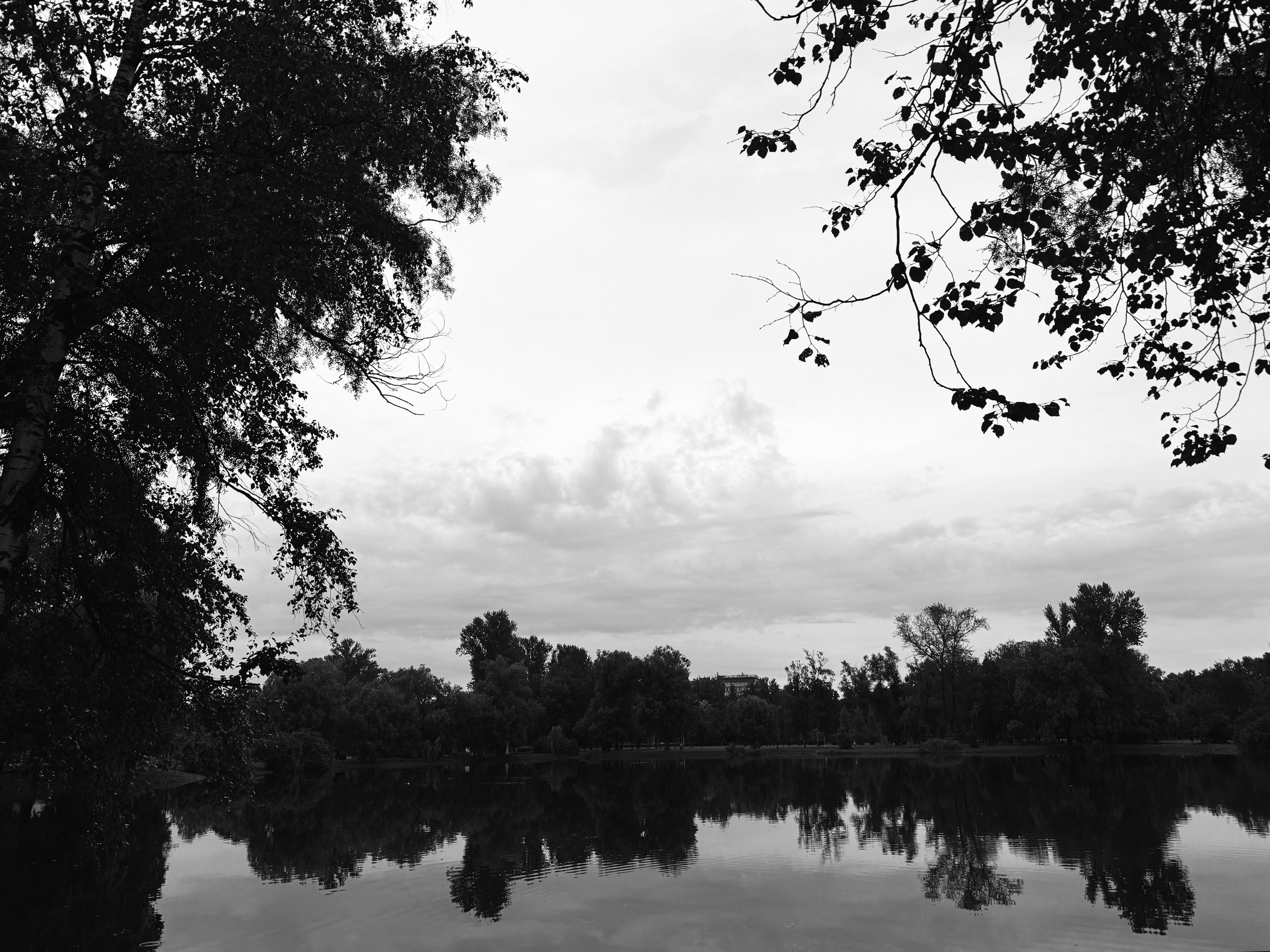 Картинки. Сандра Ковалева | ЧБ фотограф