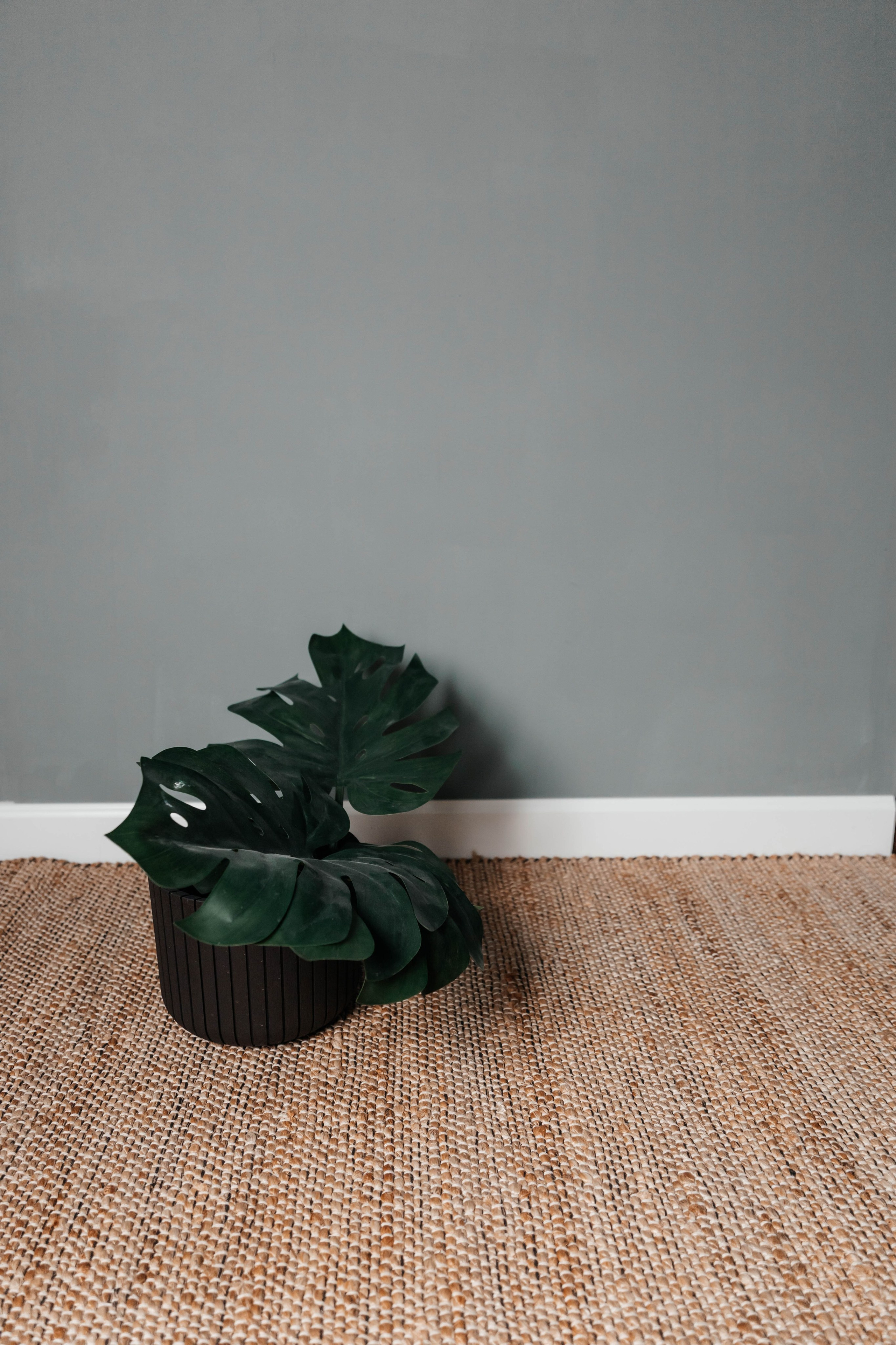 Моя студия BabyN. Фотограф новорожденных Москва, Люберцы, Жуковский, Раменское