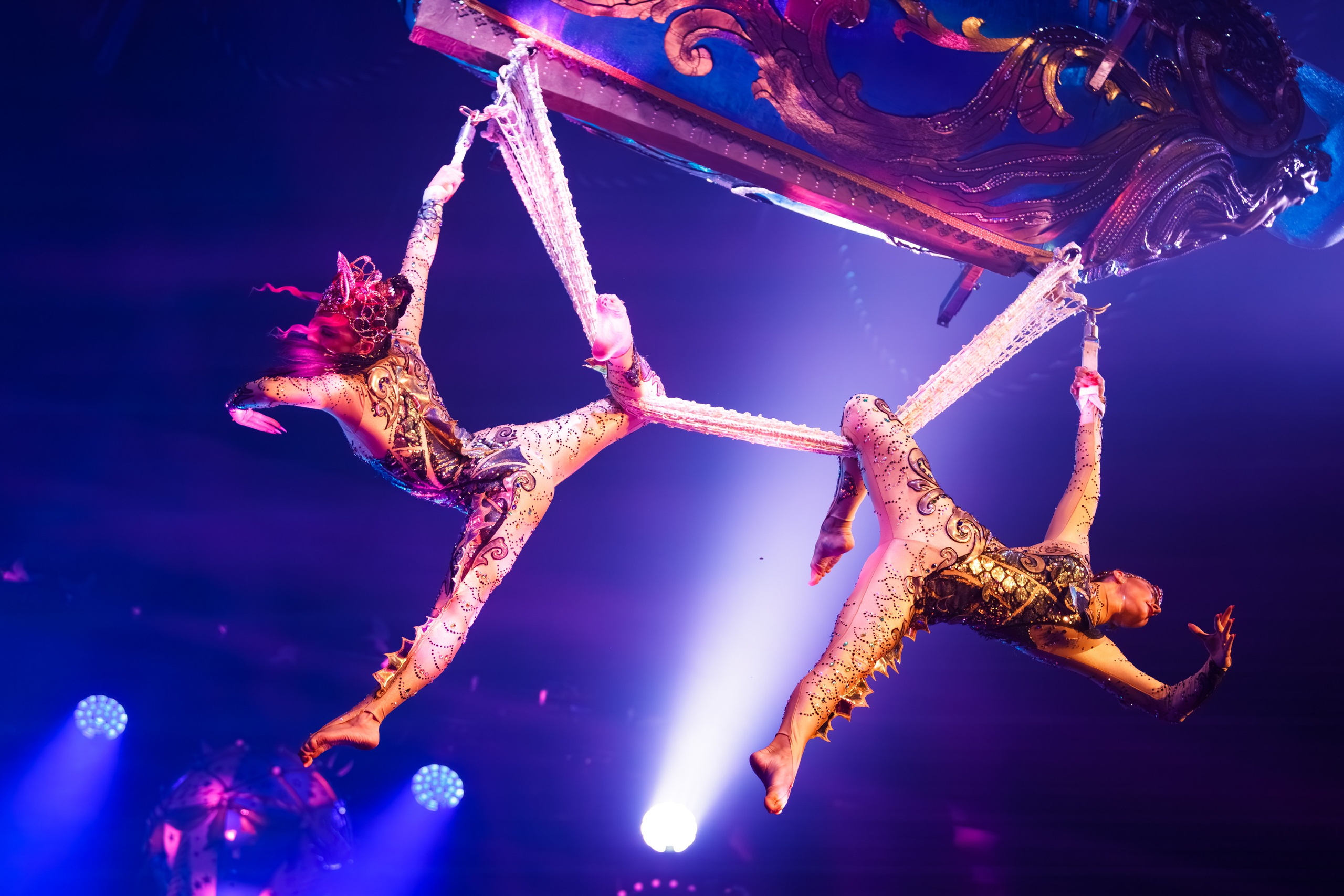 Сочинский росгорцирк Шоу Гии Эрадзе цирк. Профессиональный фотограф в Сочи Виктория Джой. Обучение