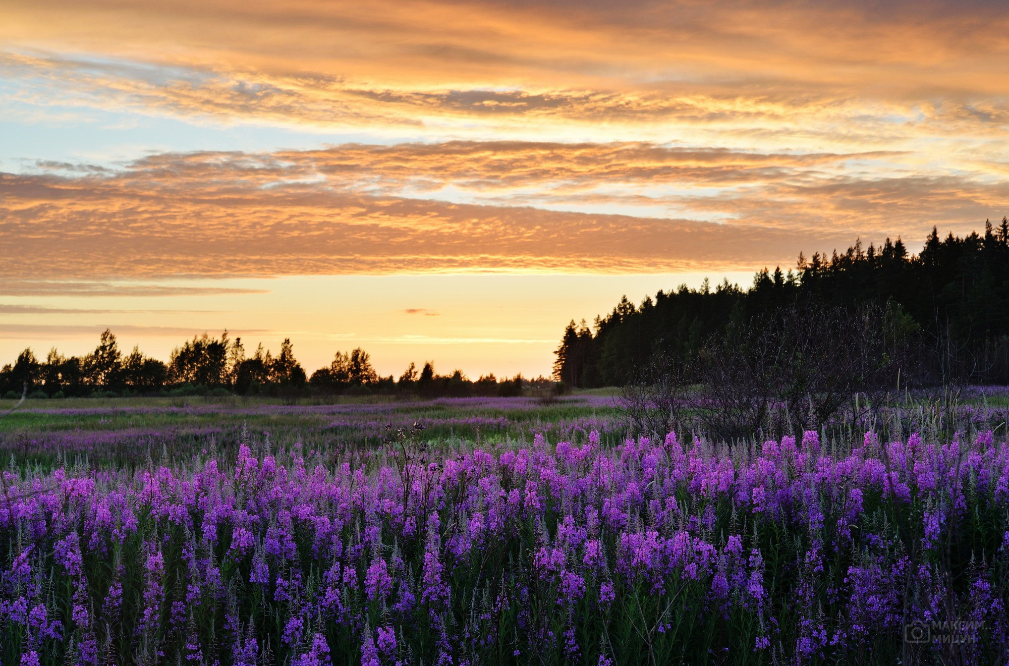 Пейзажи. Фотограф Максим Мицун. Портрет, свадьба, репортаж, каталог