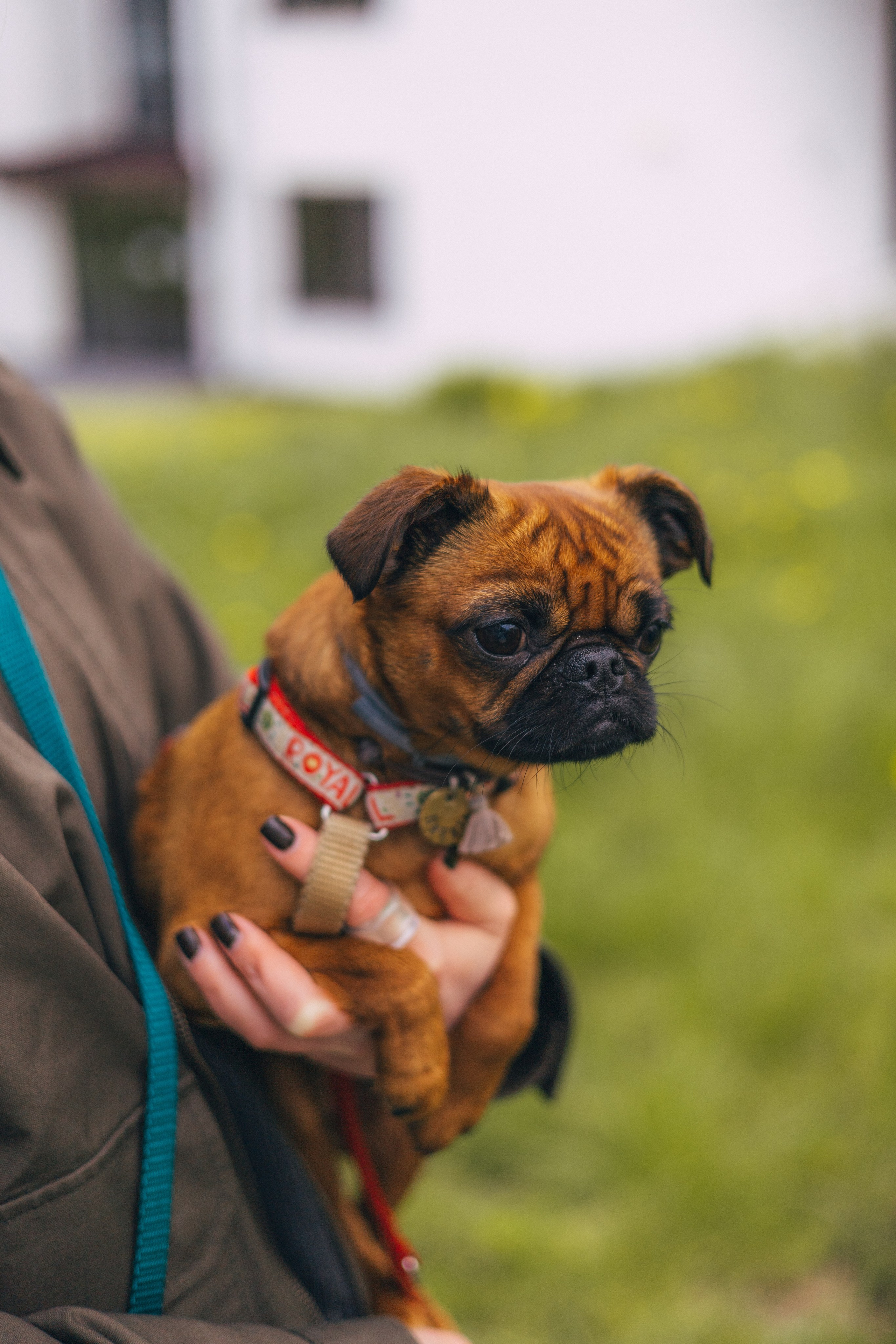 Lovestory. Свадебный фотограф в Москве Александра Соболева |Weddings, people, travel, etc
