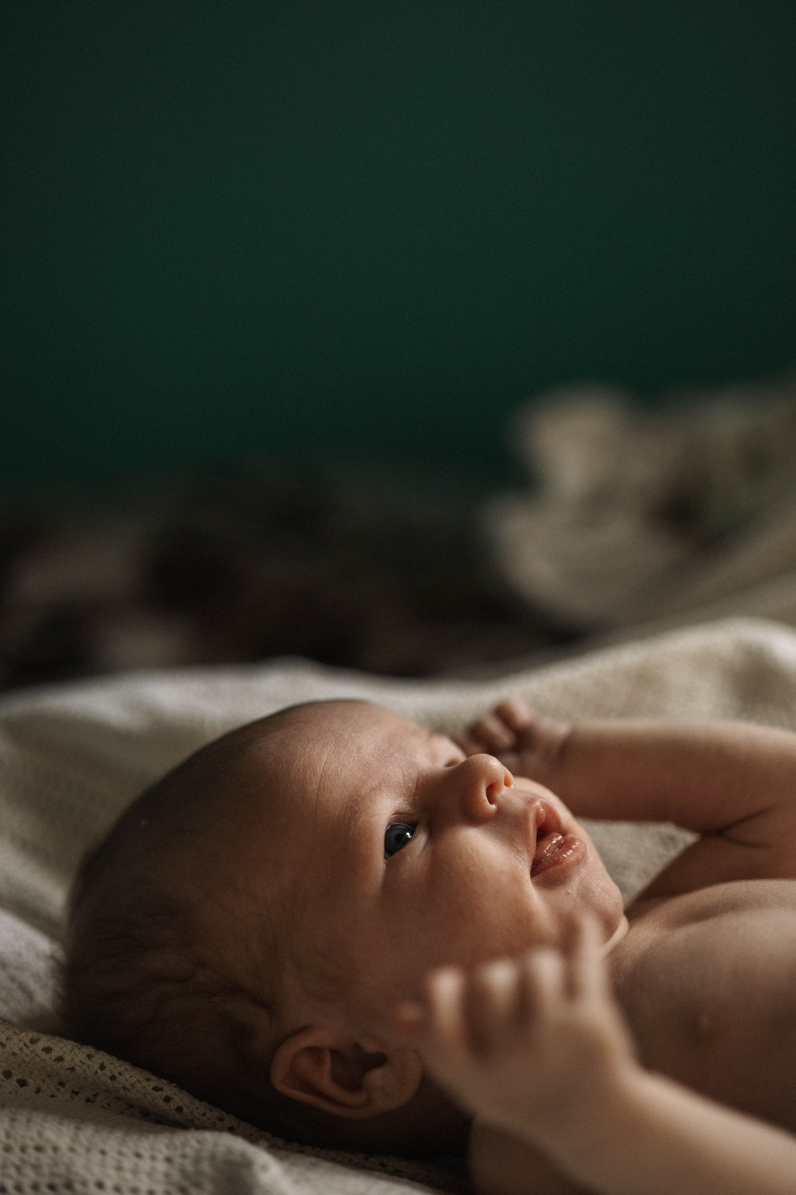 Новорожденные. Семейный, детский и женский фотограф Дарина Старшинова в Твери