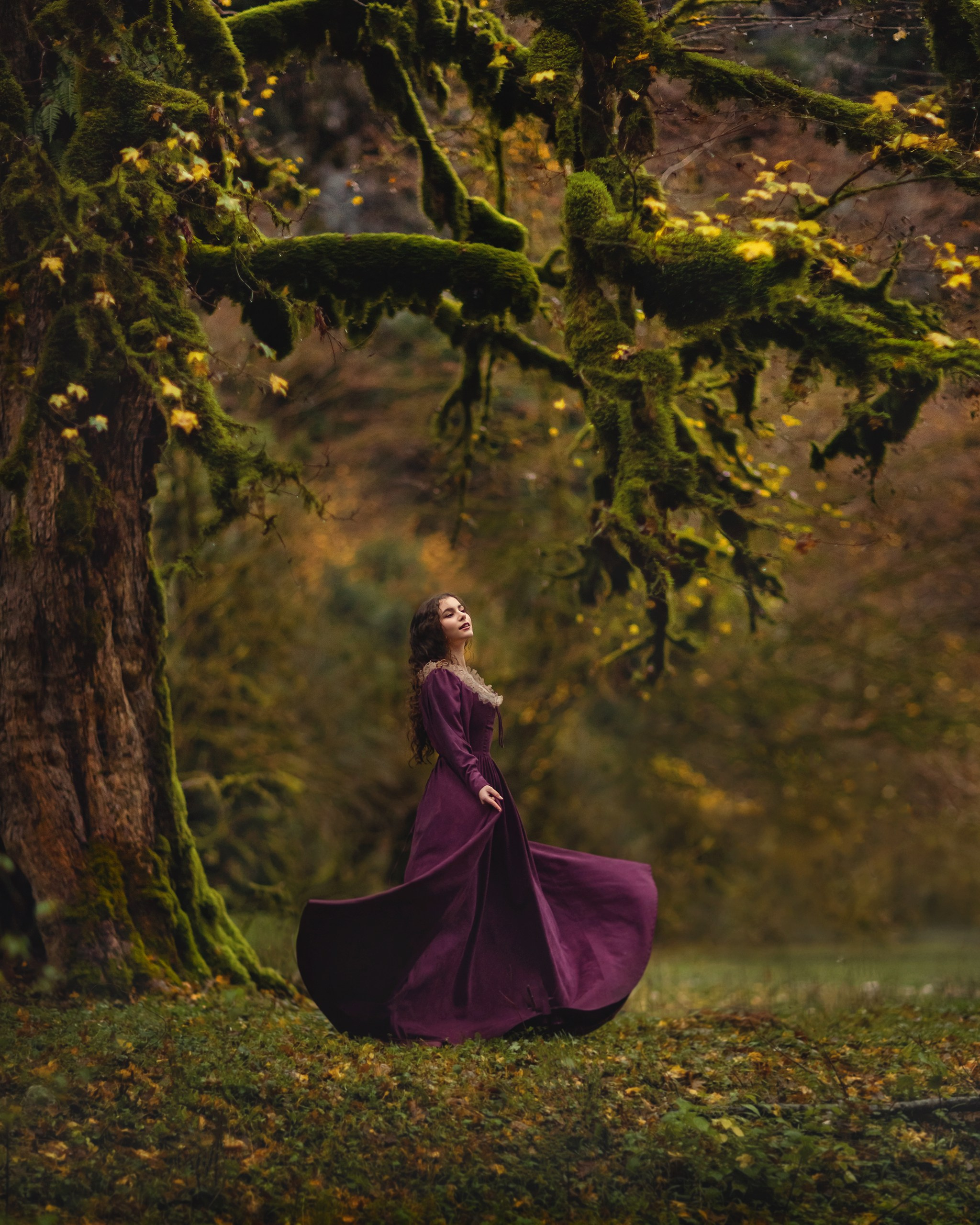 Самшитовый лес. Детский и семейный фотограф Елена Михайлова в Москве