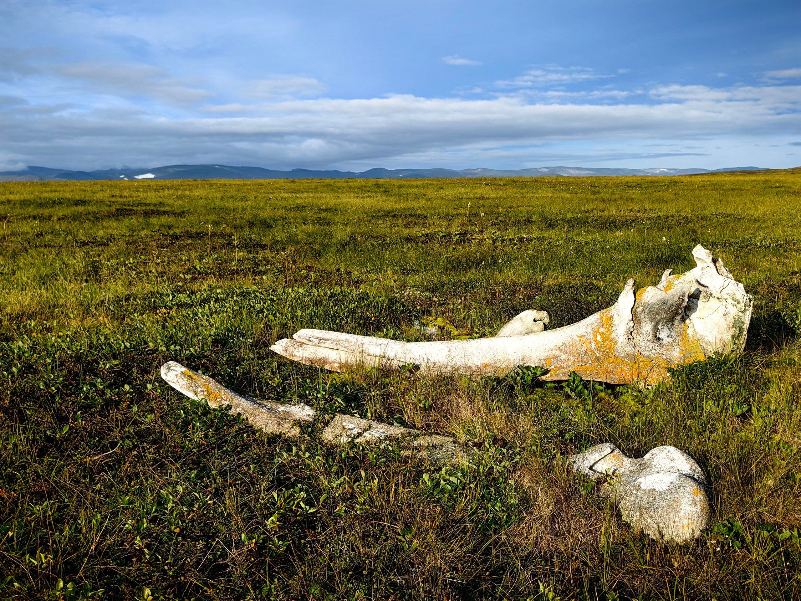 Чукотка. Mara Art Foto | Фотограф в Москве и Нижнем Новгороде