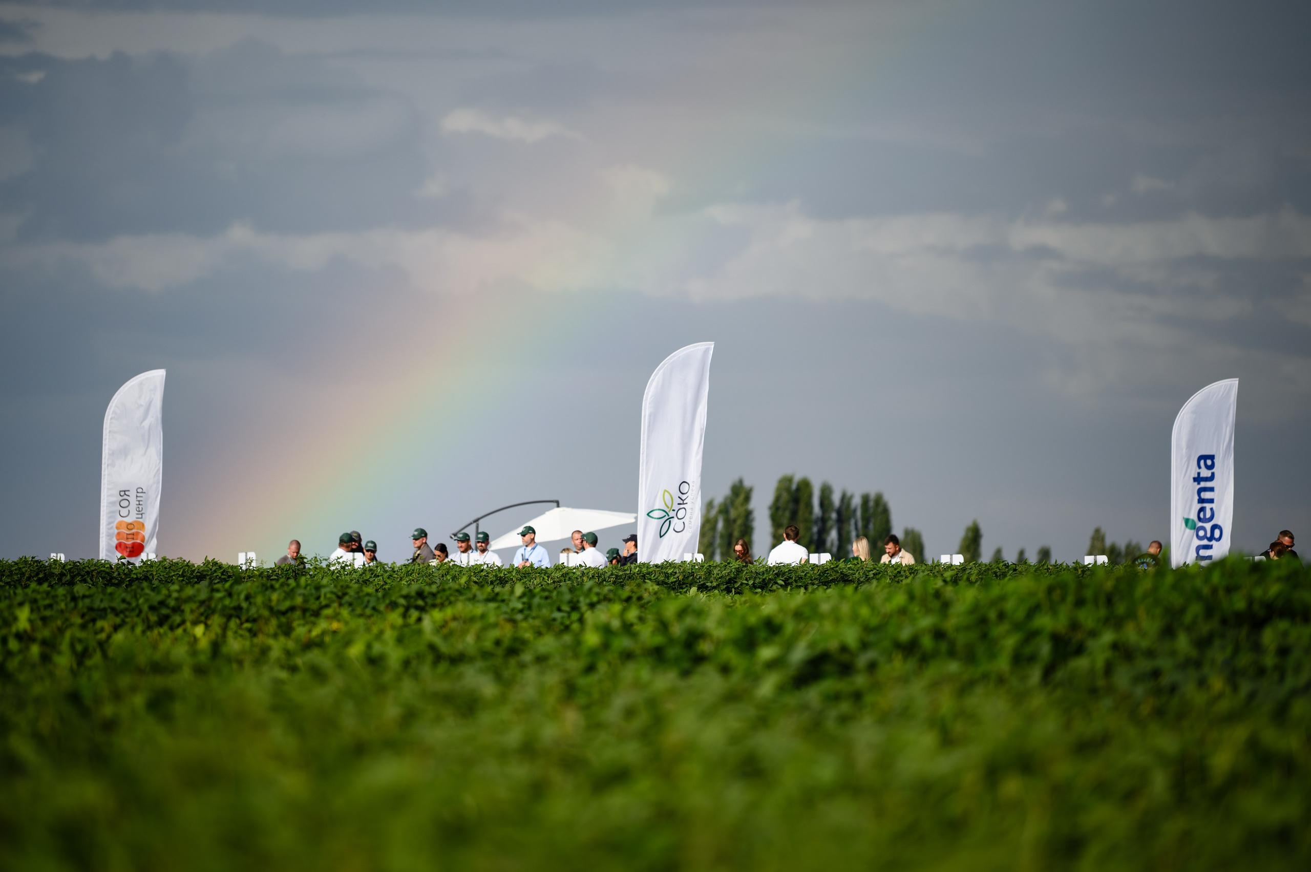 Проекты. Профессиональный фотограф Вячеслав Плацында | Липецк |