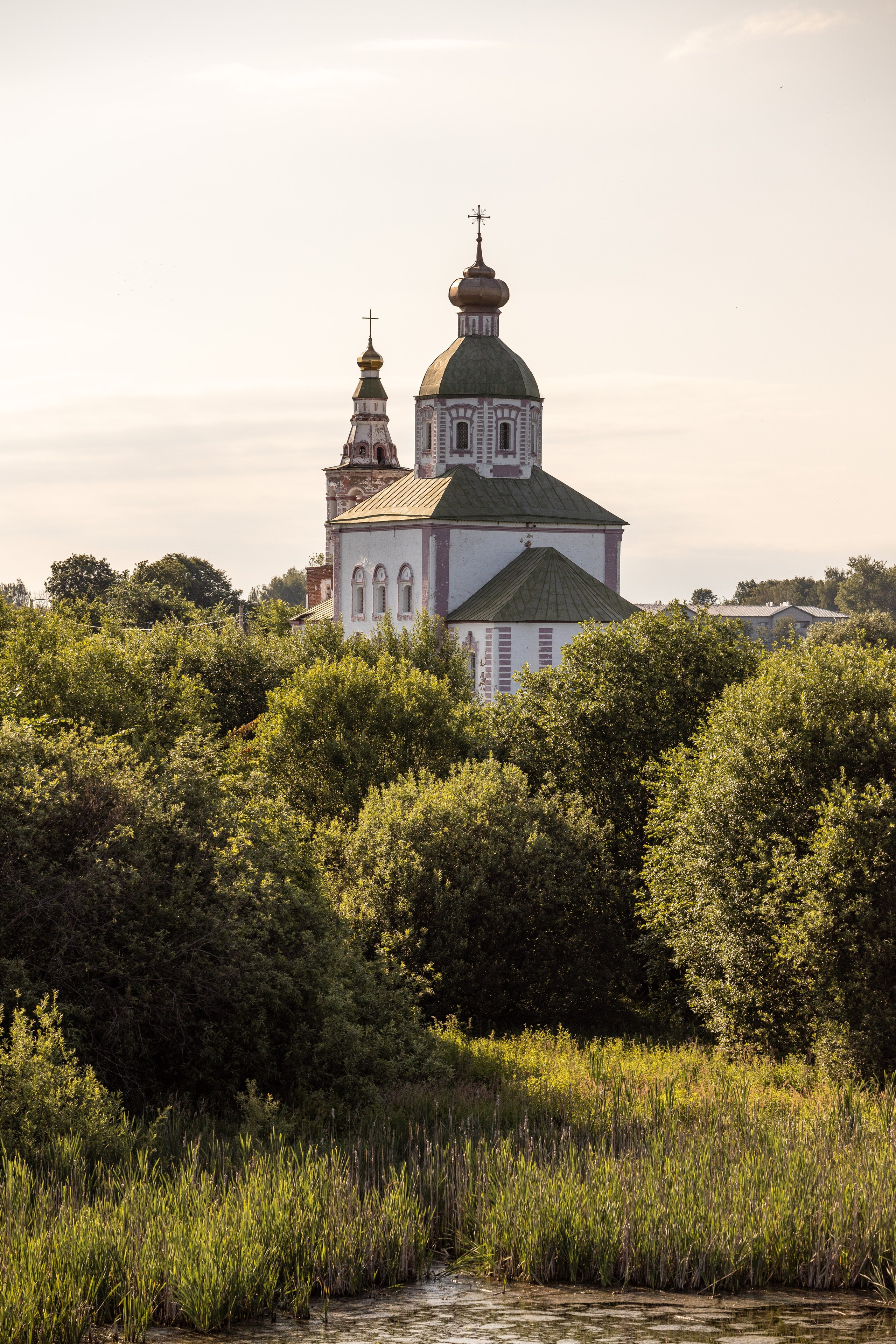 Природные пейзажи. Наталия Клевинскас портретный фотограф в Костроме