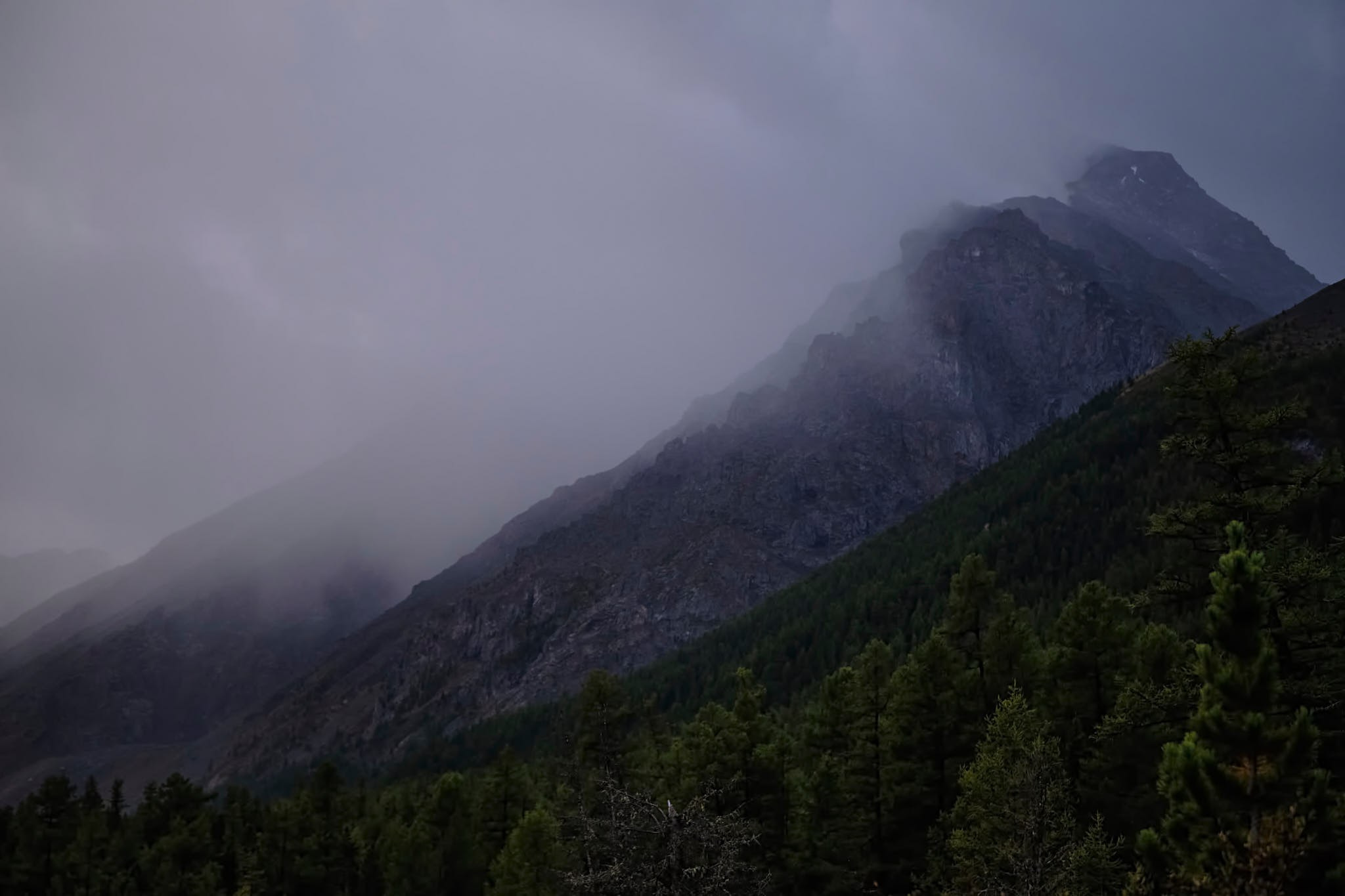 Путешествия/Живопись. Организация фото/видео съемки, Москва