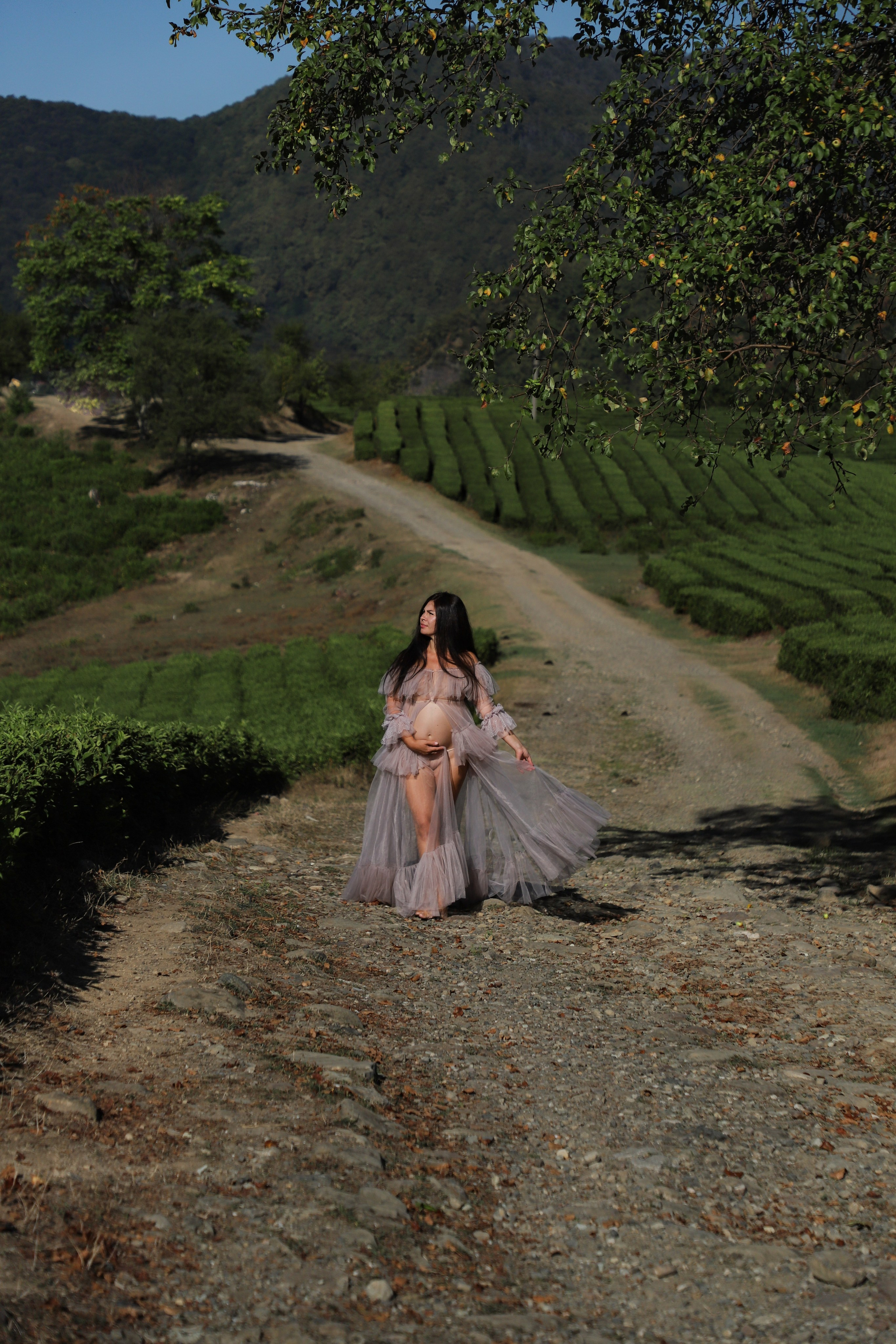 Беремняшка Мацеста чайные плантации 27.08. Главная