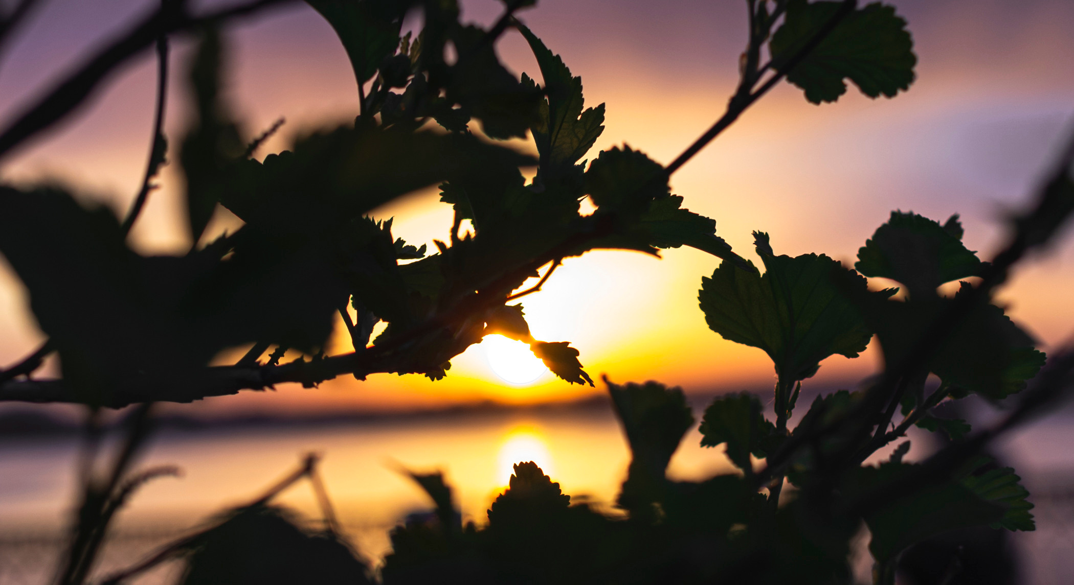 Фотографии Самары. Фотограф в Самаре Сергей Зайцев