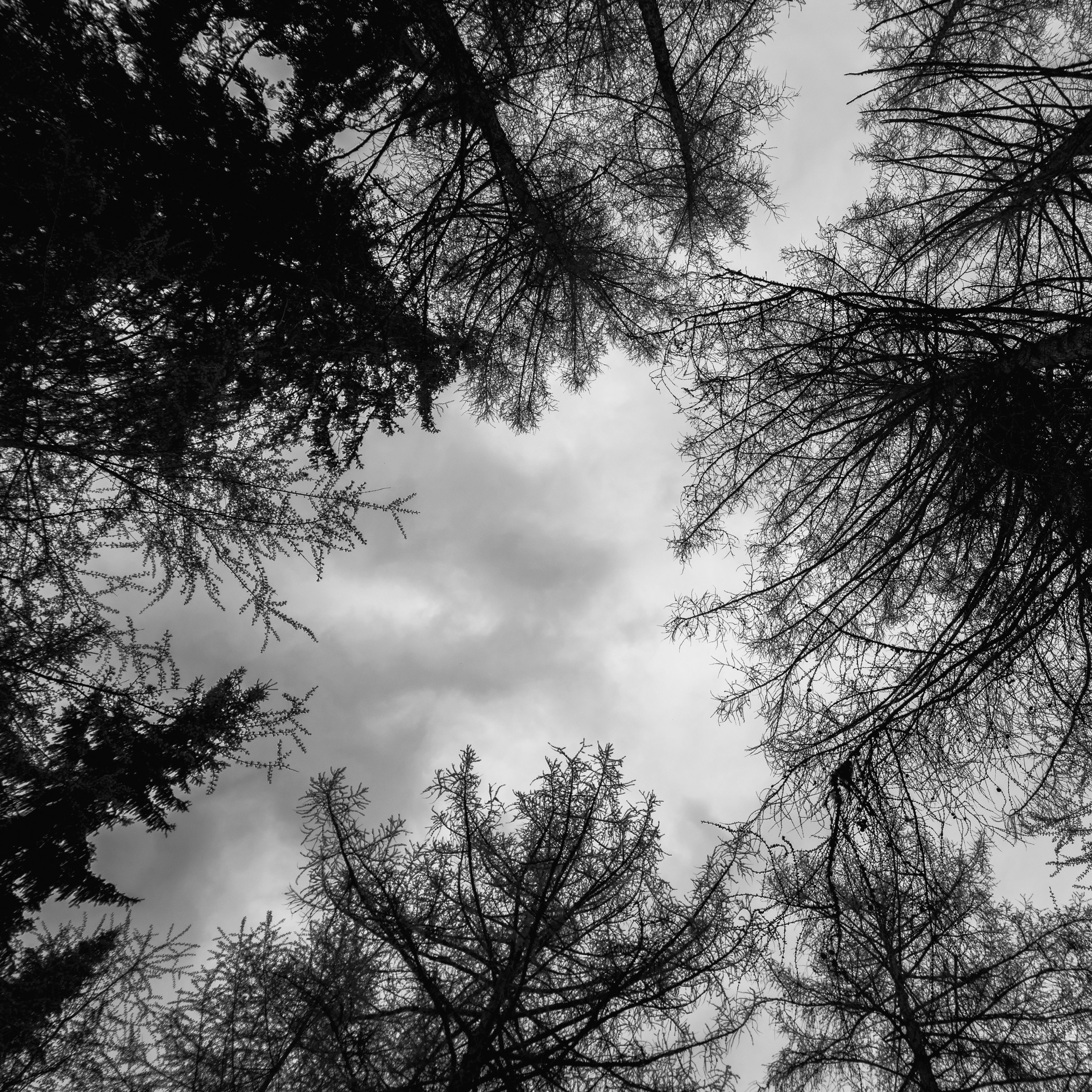 Валаам. Фотограф в Самаре Сергей Зайцев