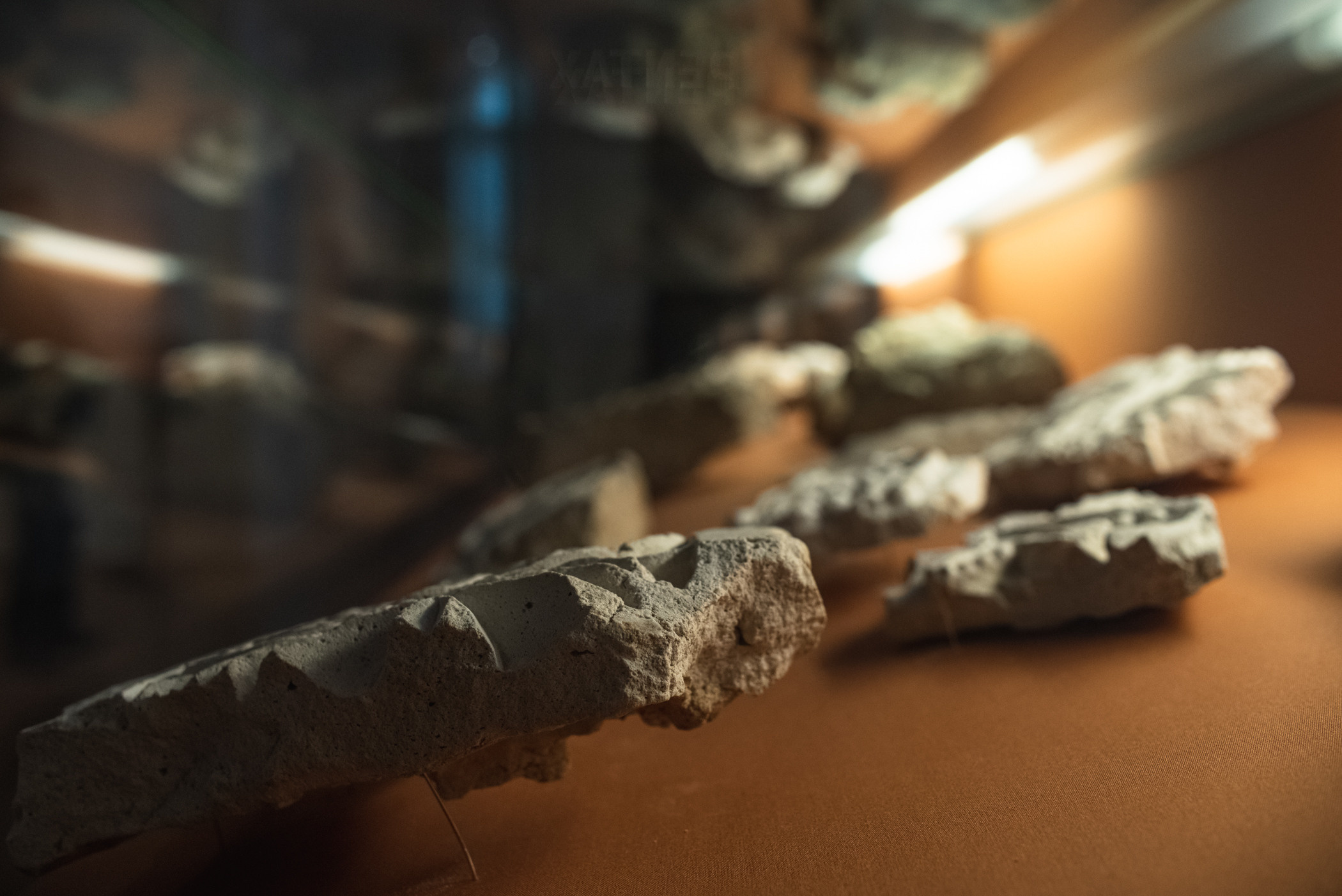 Эрмитаж. Фотограф в Самаре Сергей Зайцев