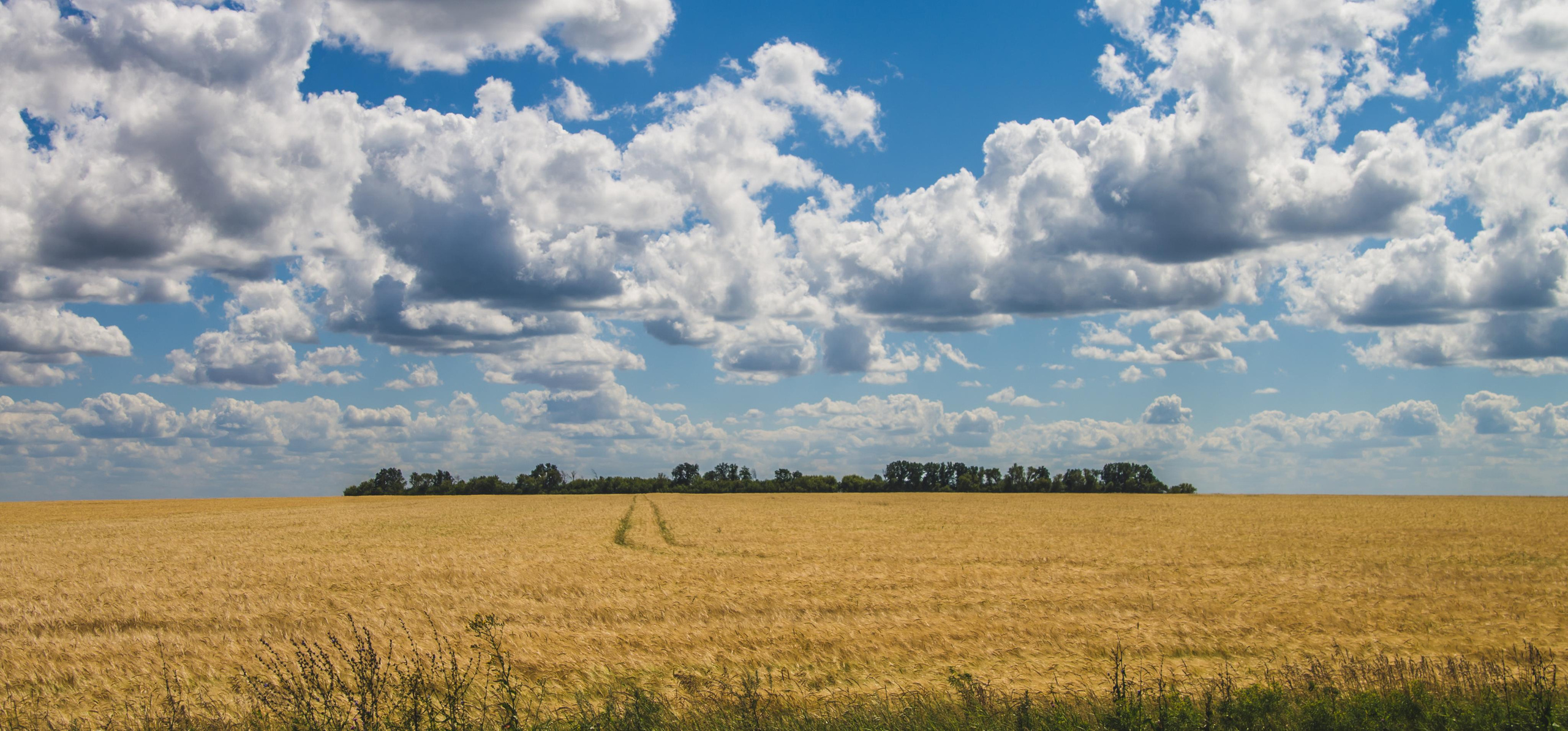 Фотограф в Самаре Сергей Зайцев