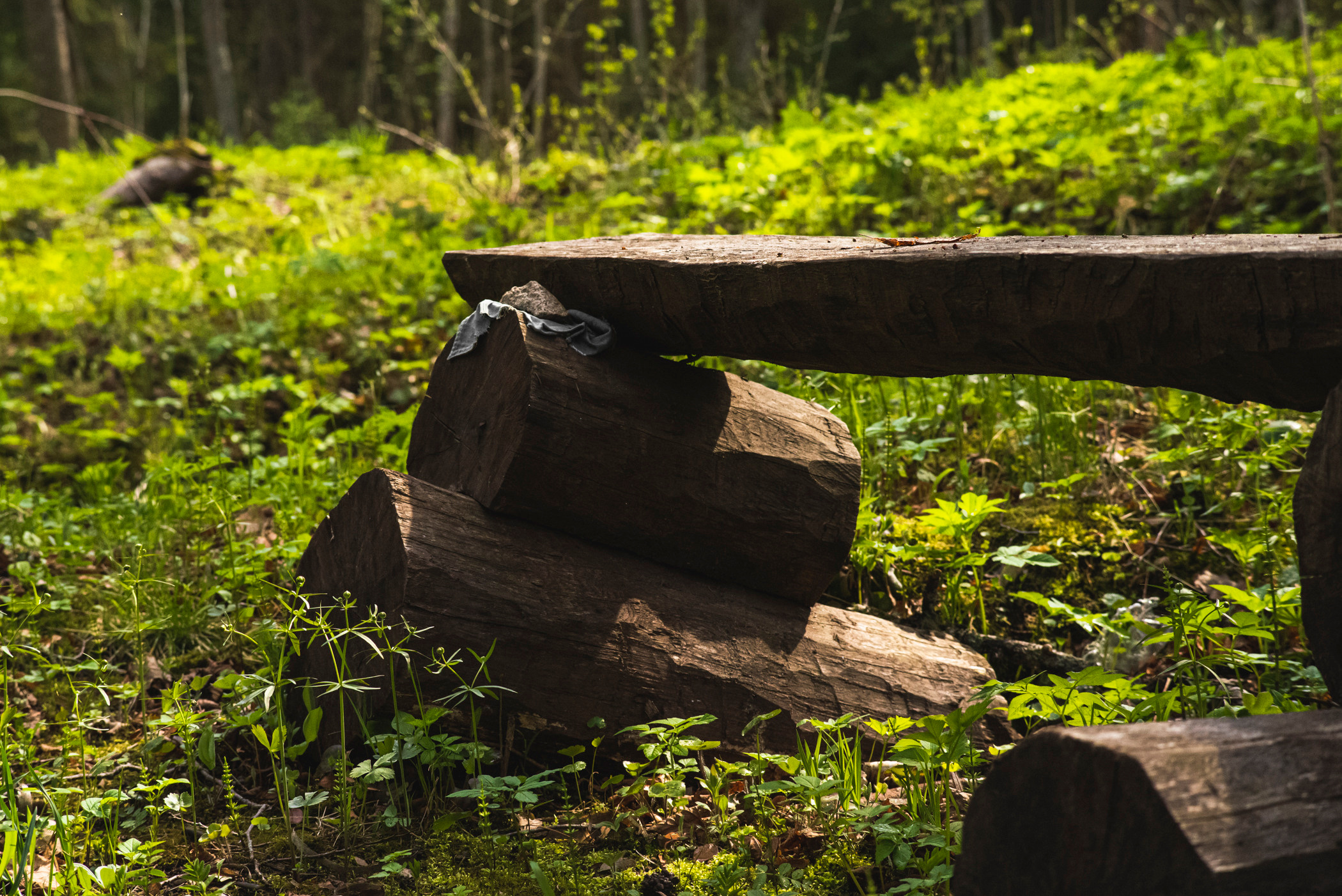 Валаам. Фотограф в Самаре Сергей Зайцев