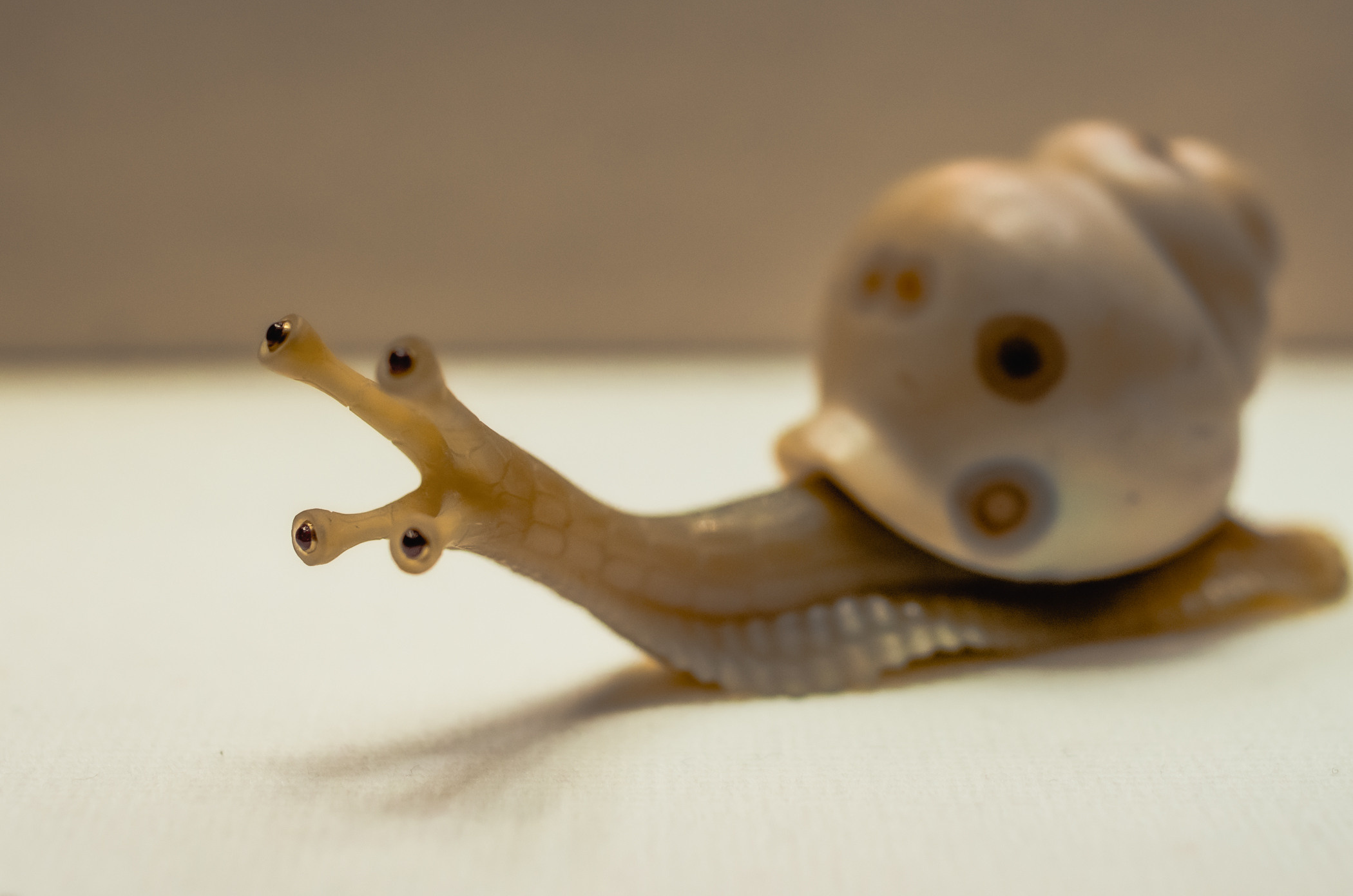 Примеры работ. Музеи. Магазины. Фотограф в Самаре Сергей Зайцев