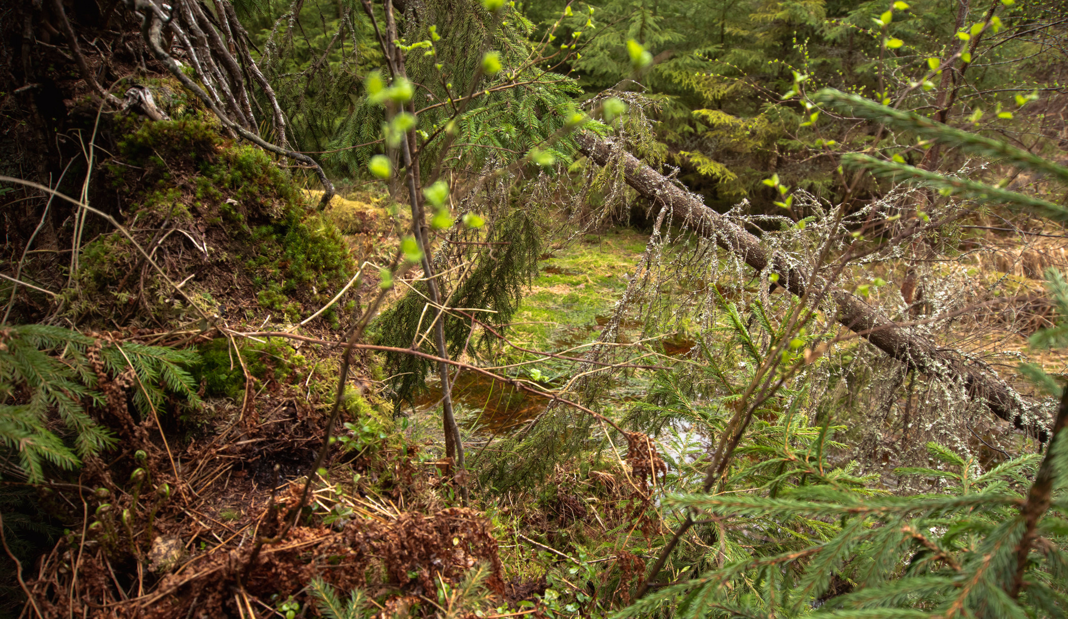 Валаам. Фотограф в Самаре Сергей Зайцев
