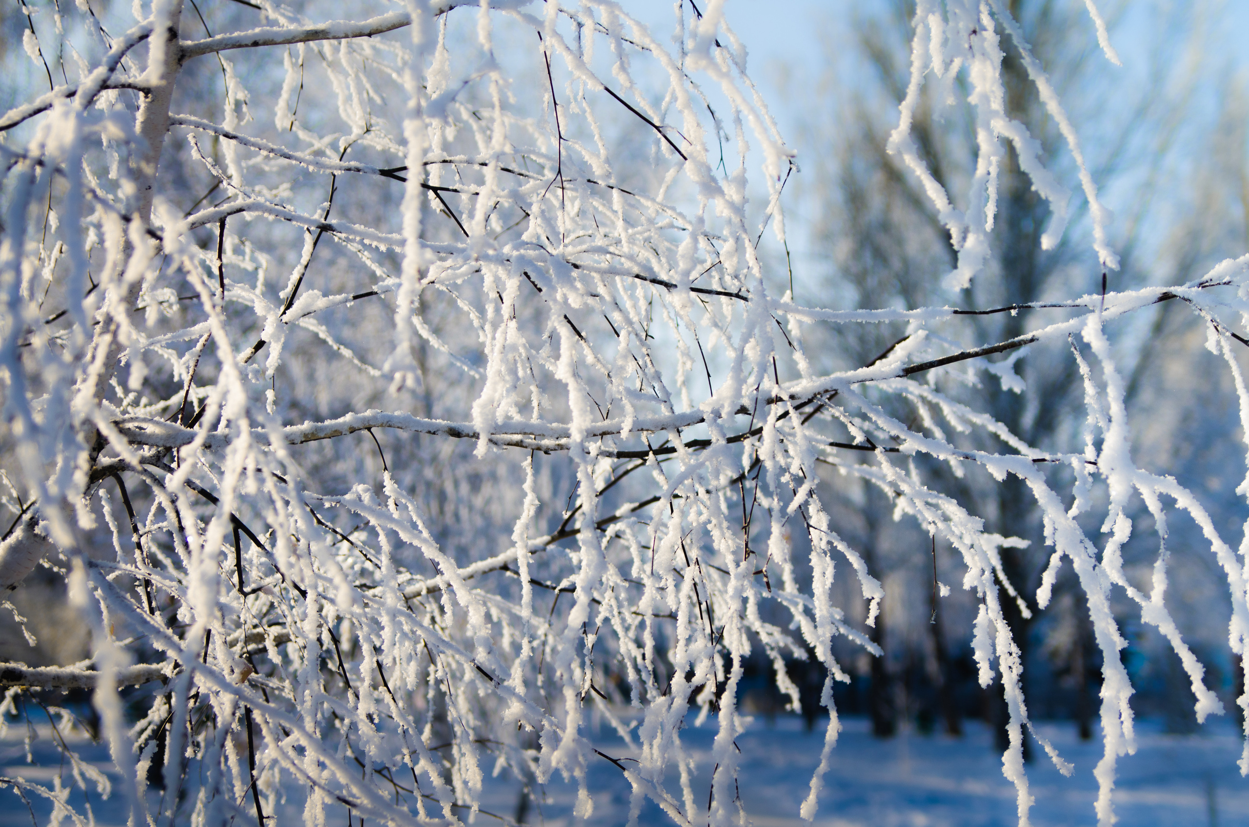 Примеры работ. Музеи. Магазины. Фотограф в Самаре Сергей Зайцев