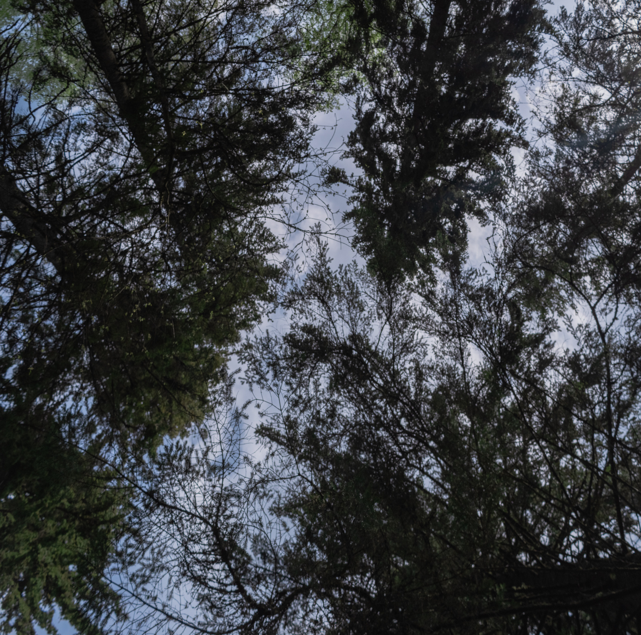 Валаам. Фотограф в Самаре Сергей Зайцев