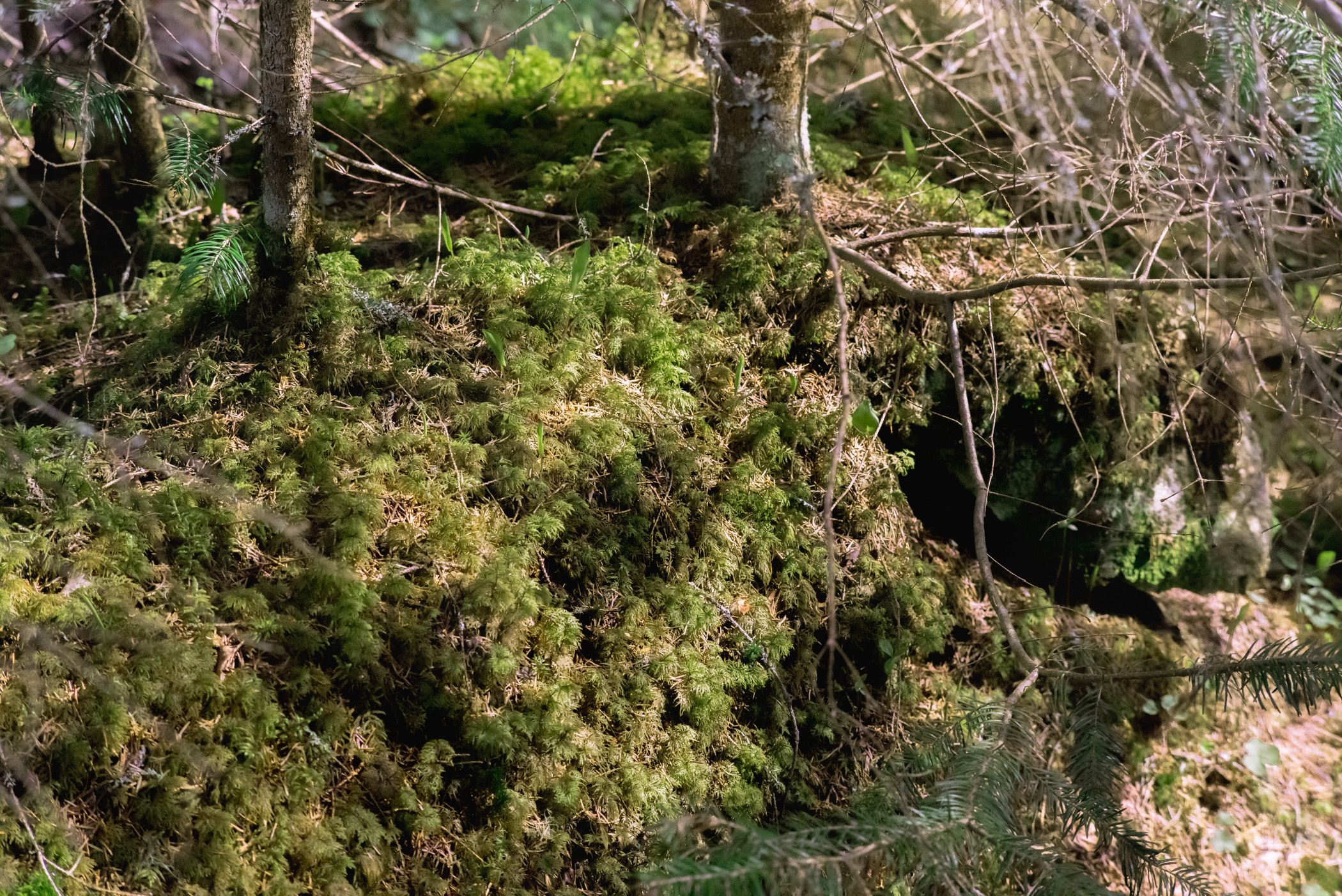 Валаам. Фотограф в Самаре Сергей Зайцев
